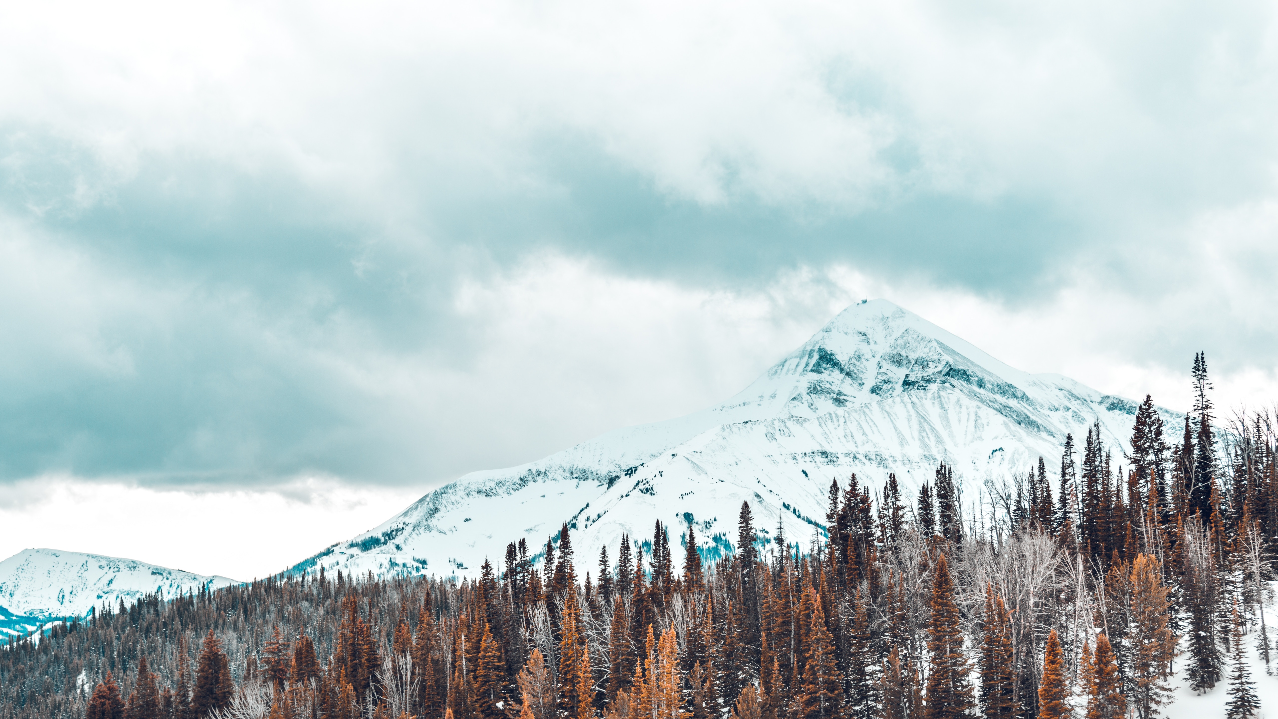 Baixe gratuitamente a imagem Natureza, Coberto De Neve, Snowbound, Montanhas, Árvores na área de trabalho do seu PC