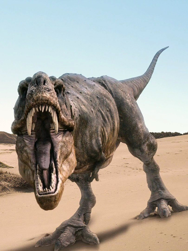 Téléchargez des papiers peints mobile Animaux, Dinosaures, Tyrannosaure Rex gratuitement.