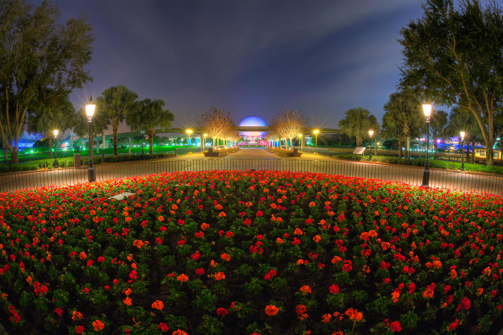 Download mobile wallpaper Night, Paris, Flower, Park, Photography, Red Flower, Man Made, Orange Flower for free.