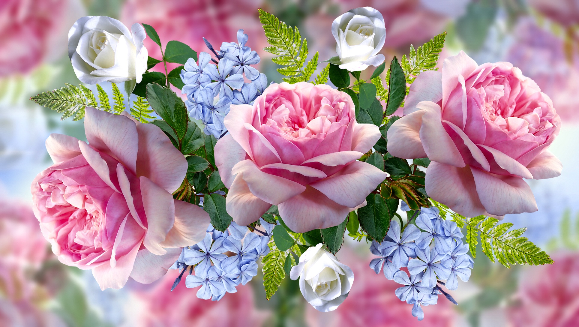 Free download wallpaper Flowers, Flower, Artistic on your PC desktop