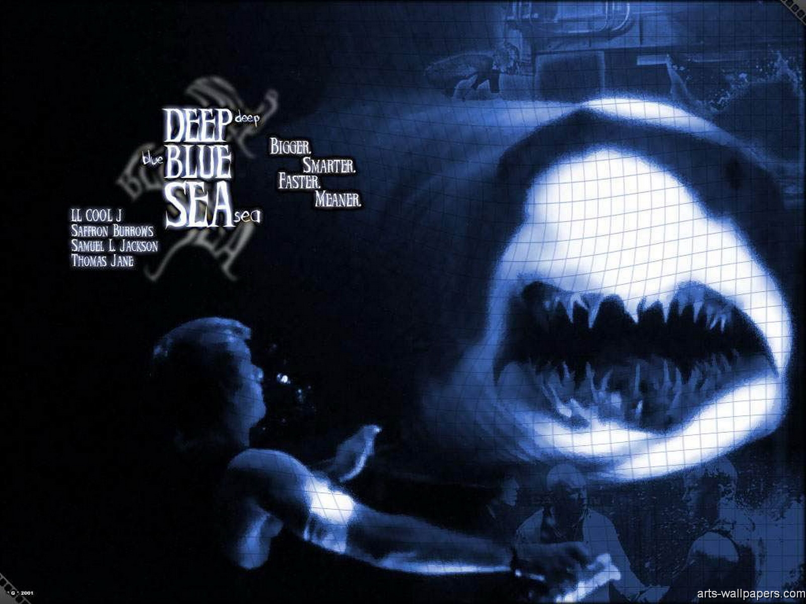Laden Sie das Filme, Deep Blue Sea-Bild kostenlos auf Ihren PC-Desktop herunter