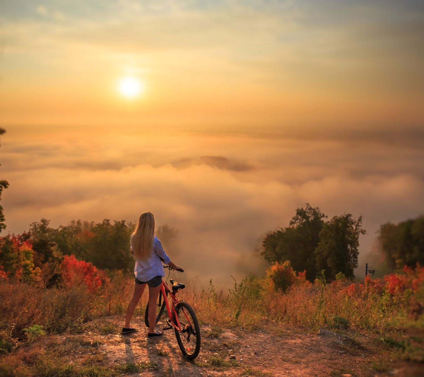 Download mobile wallpaper Landscape, Horizon, Mountain, Cloud, Bicycle, Photography for free.