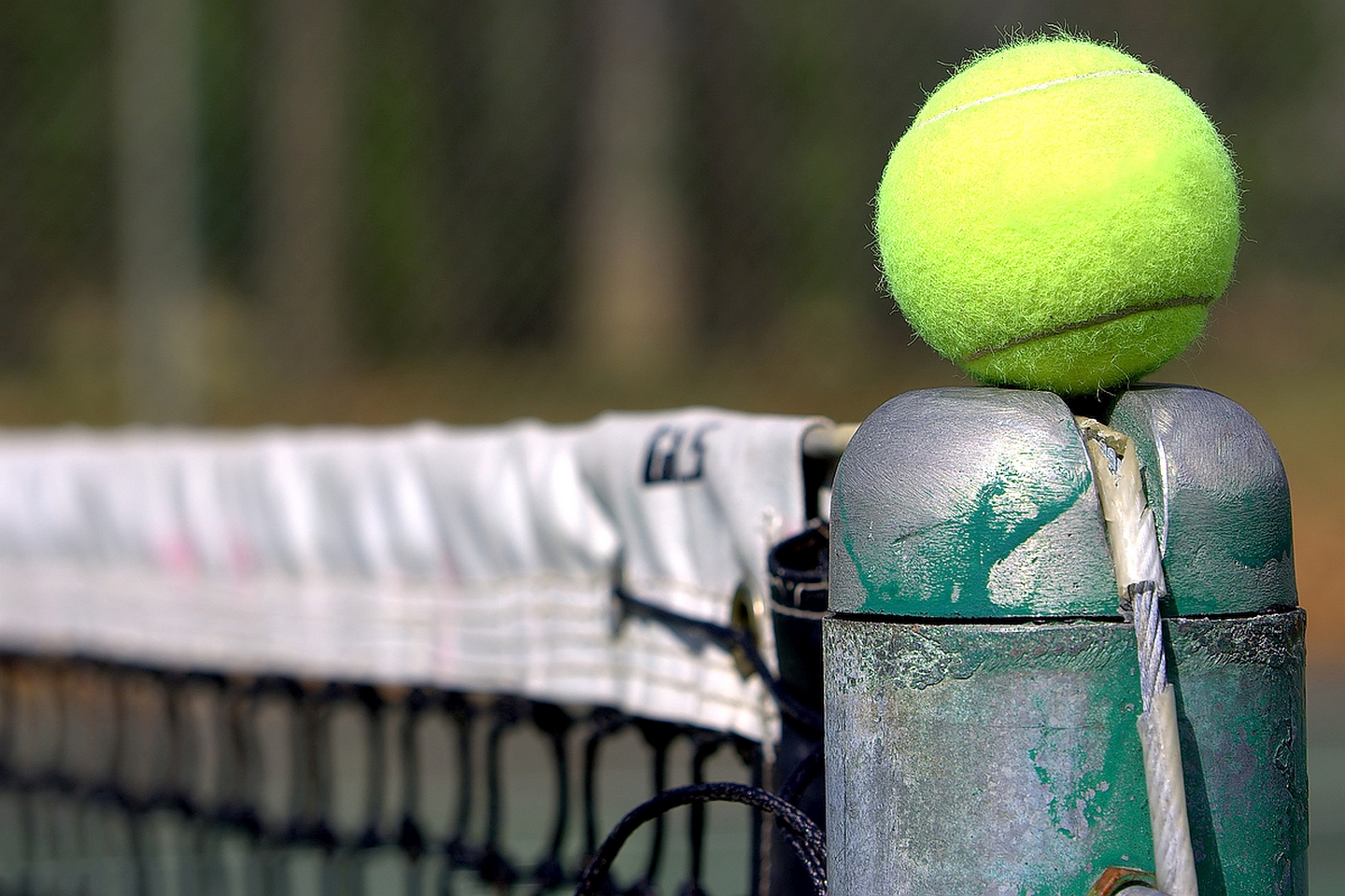 Handy-Wallpaper Sport, Tennis, Ball kostenlos herunterladen.