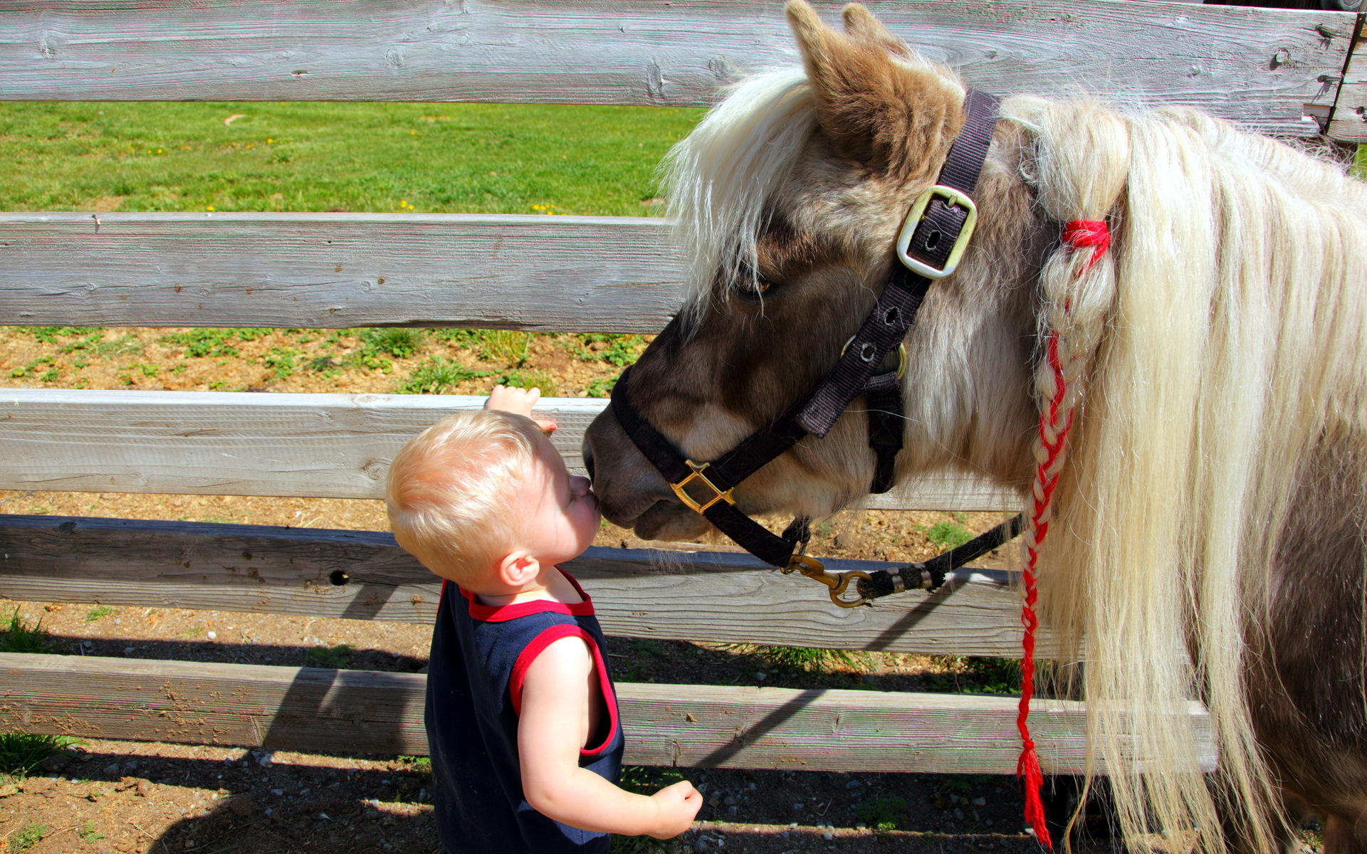 Скачать картинку Любовь, Милый, Лошадь, Ребёнок, Фотографии, Младенец в телефон бесплатно.