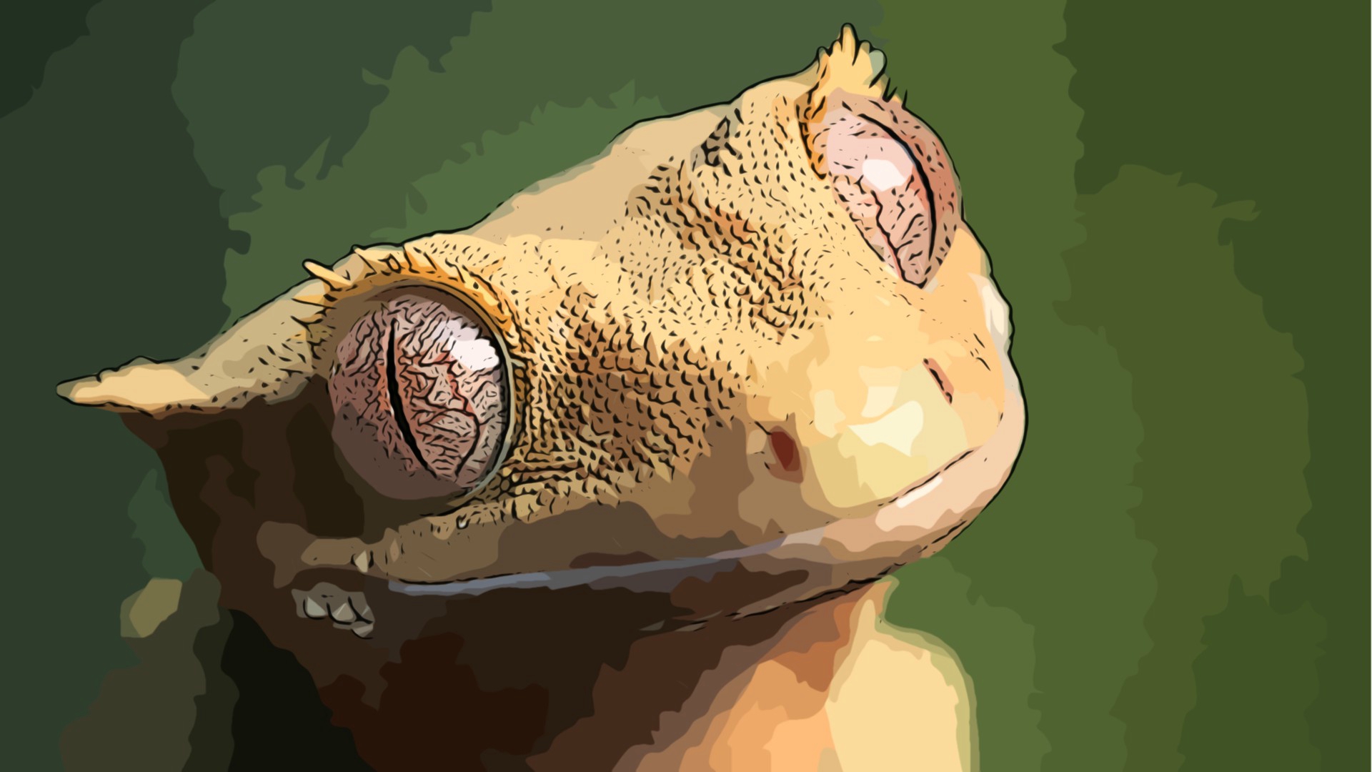 Téléchargez gratuitement l'image Animaux, Reptiles, Gecko sur le bureau de votre PC