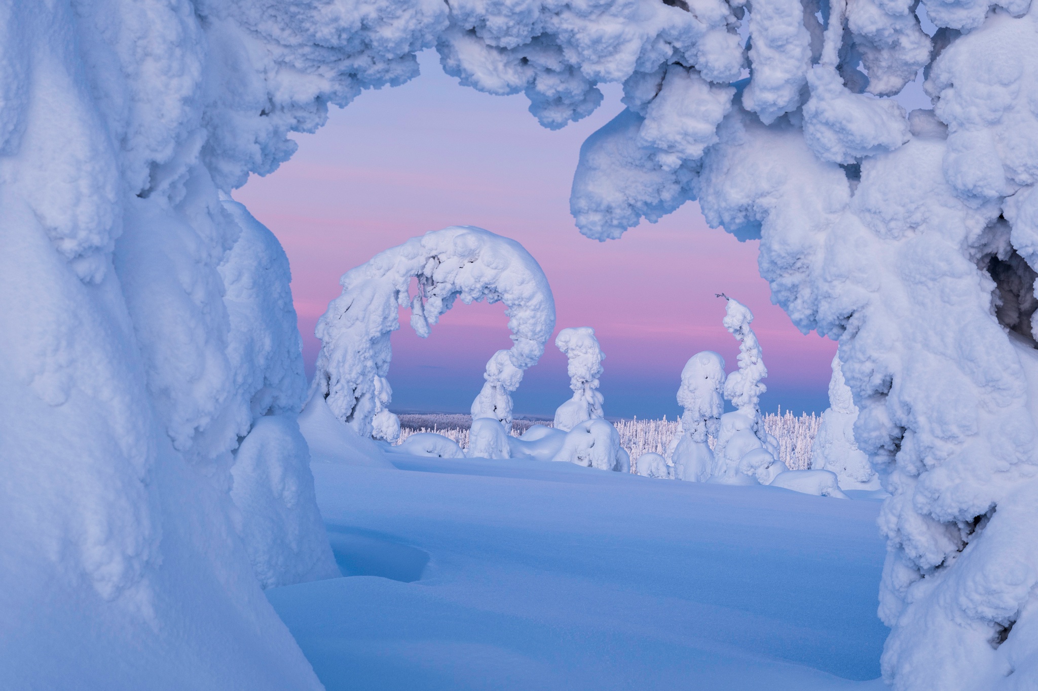 Скачать картинку Зима, Природа, Снег, Дерево, Финляндия, Земля/природа в телефон бесплатно.