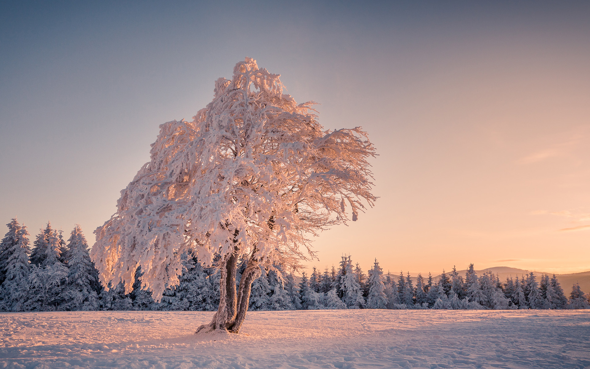 Handy-Wallpaper Winter, Erde/natur kostenlos herunterladen.