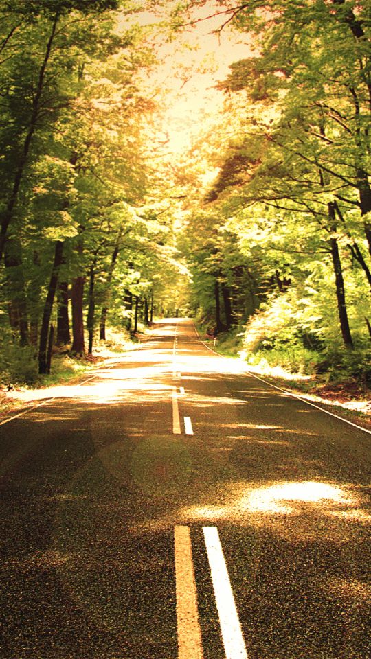 Download mobile wallpaper Nature, Road, Forest, Sunny, Man Made for free.