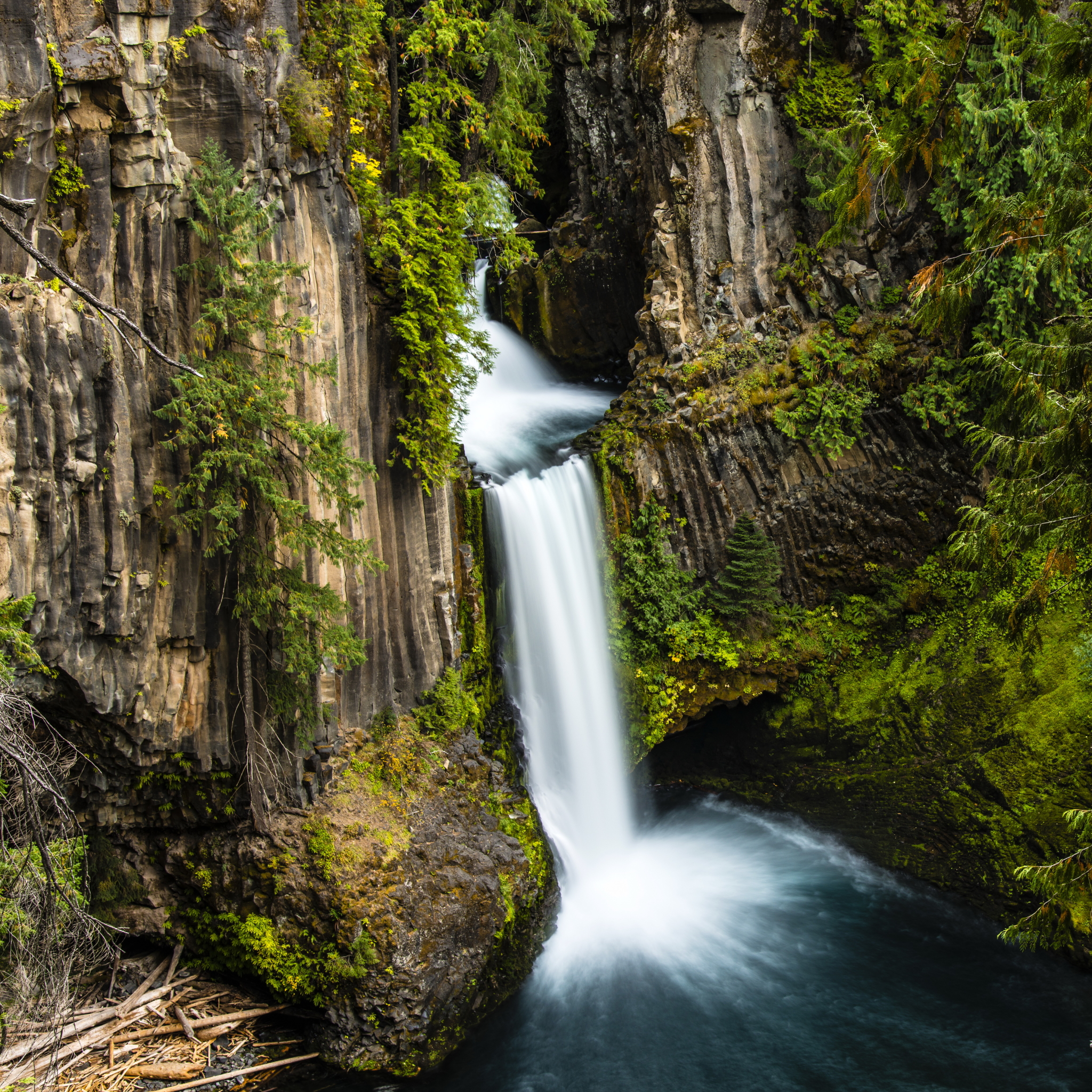 Скачать картинку Водопады, Водопад, Лес, Дерево, Земля, Зеленый, Орегон, Земля/природа, Водопад Токети в телефон бесплатно.
