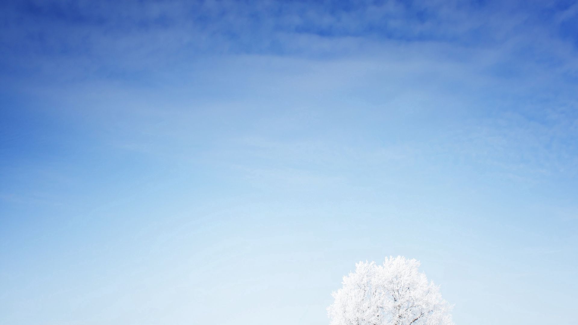 Скачати мобільні шпалери Трава, Сніг, Дерево, Мінімалізм безкоштовно.