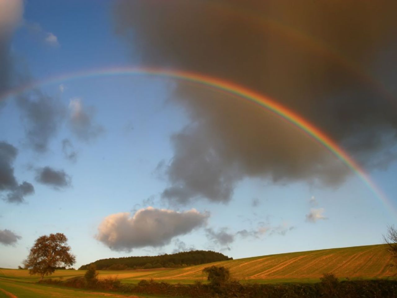 Download mobile wallpaper Sky, Rainbow, Earth, Field for free.