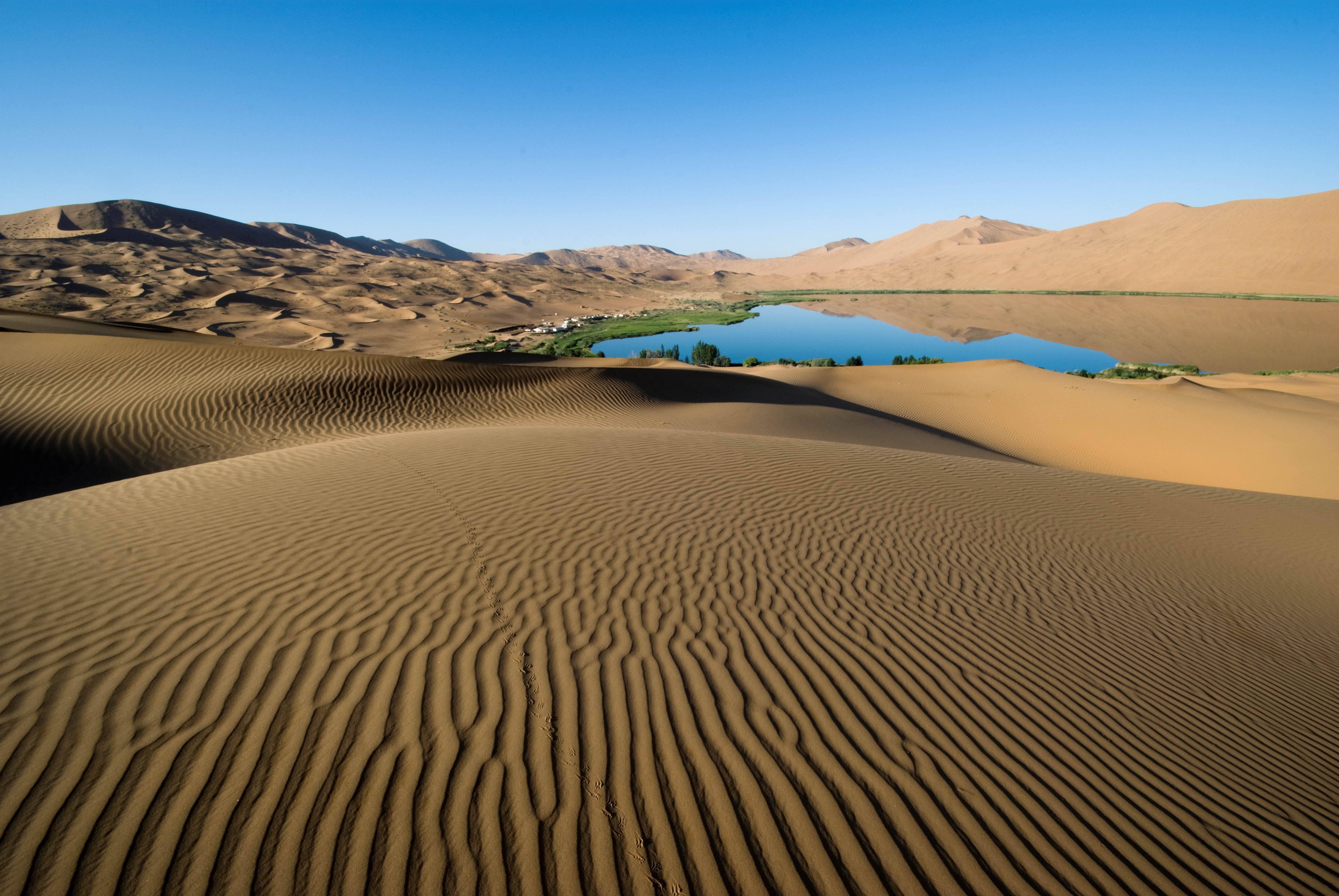 61760 télécharger l'image désert, lac, lignes, nature, sable, patterns, végétation, les rives, rivage, oasis - fonds d'écran et économiseurs d'écran gratuits
