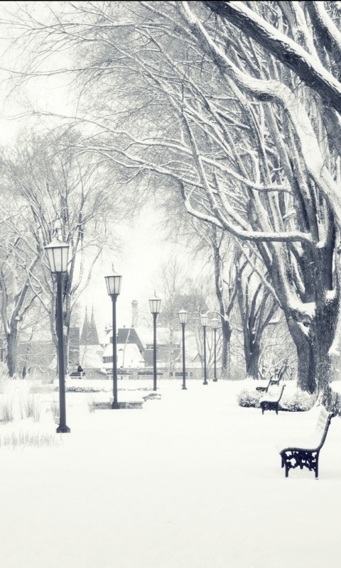 Download mobile wallpaper Winter, Snow, Park, Tree, Lamp, Bench, Photography, Lamp Post, Season, Black & White for free.