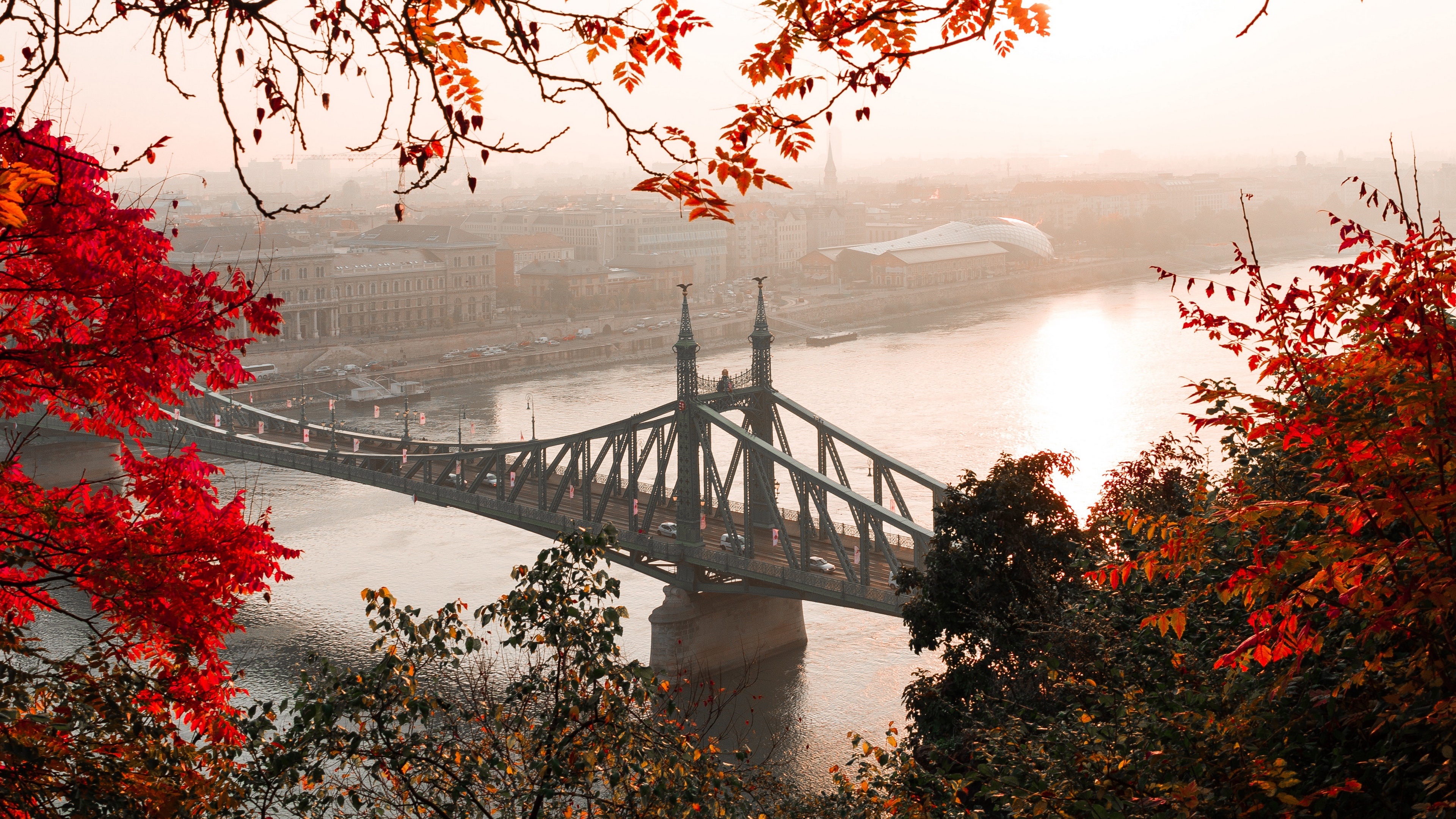Скачать обои Мост Свободы (Будапешт) на телефон бесплатно