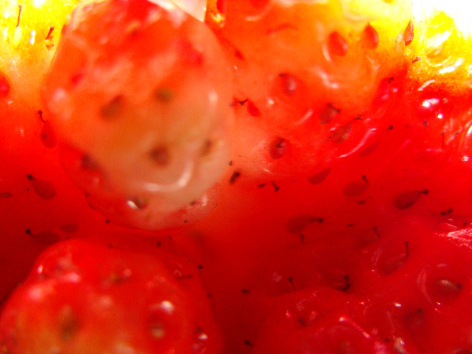 Free download wallpaper Background, Fruits on your PC desktop