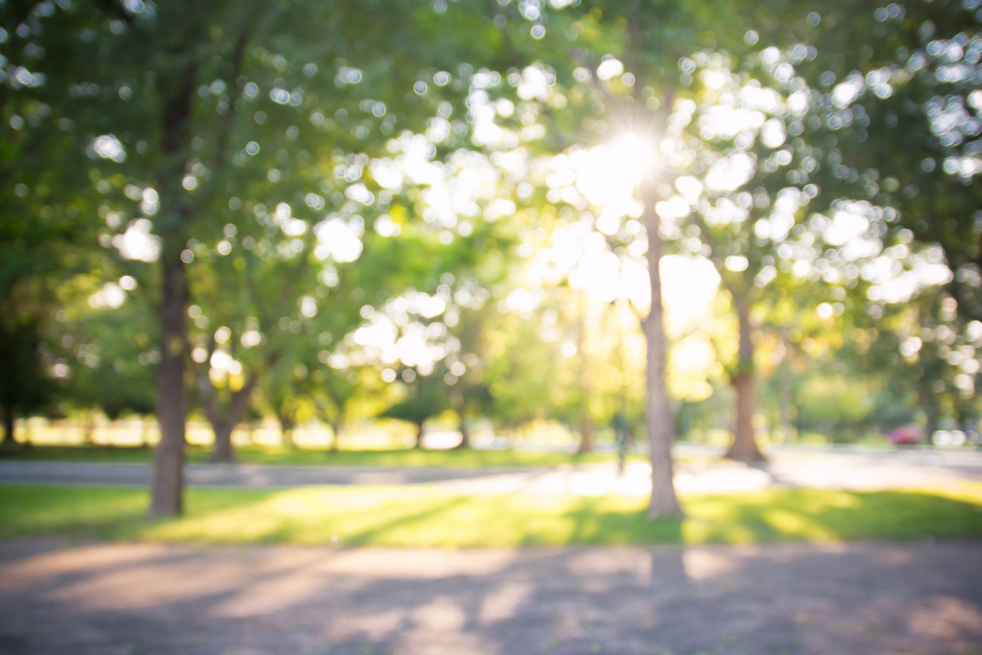 Téléchargez des papiers peints mobile Parc, Arbre, Chemin, Lumière Du Soleil, Rayon De Soleil, Terre/nature gratuitement.