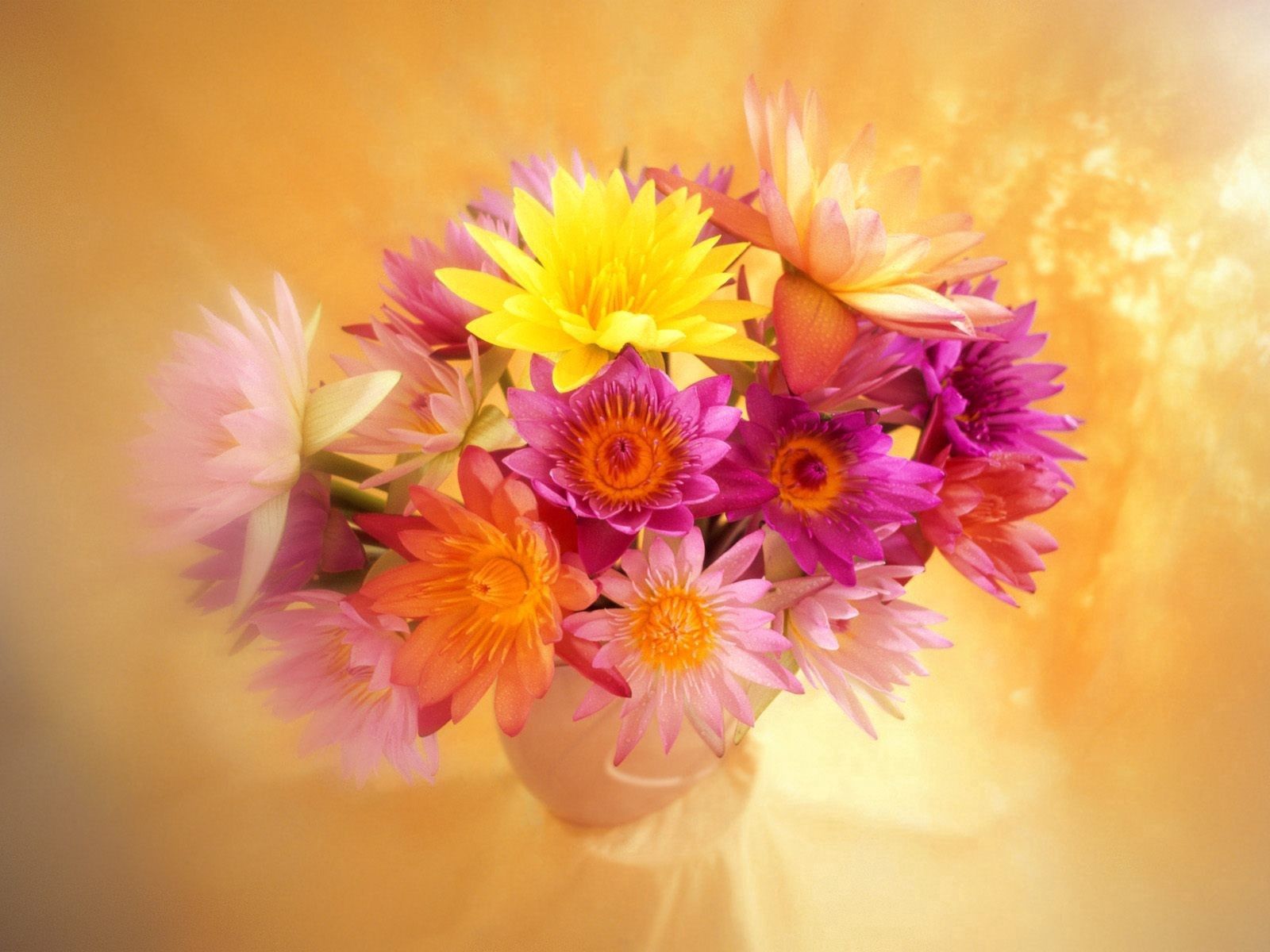 Descarga gratis la imagen Flores, Brillante, Borrosidad, Suave, Ramo, Jarrón en el escritorio de tu PC