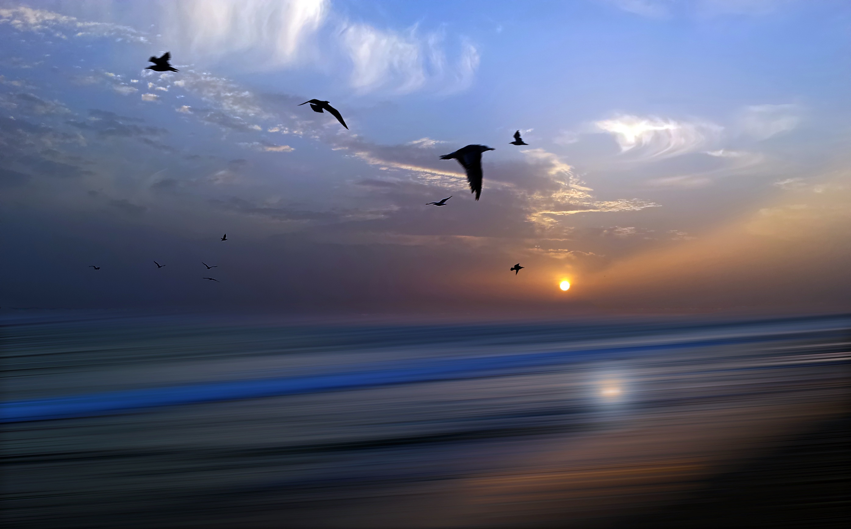 Download mobile wallpaper Sunset, Sky, Horizon, Bird, Ocean, Earth for free.