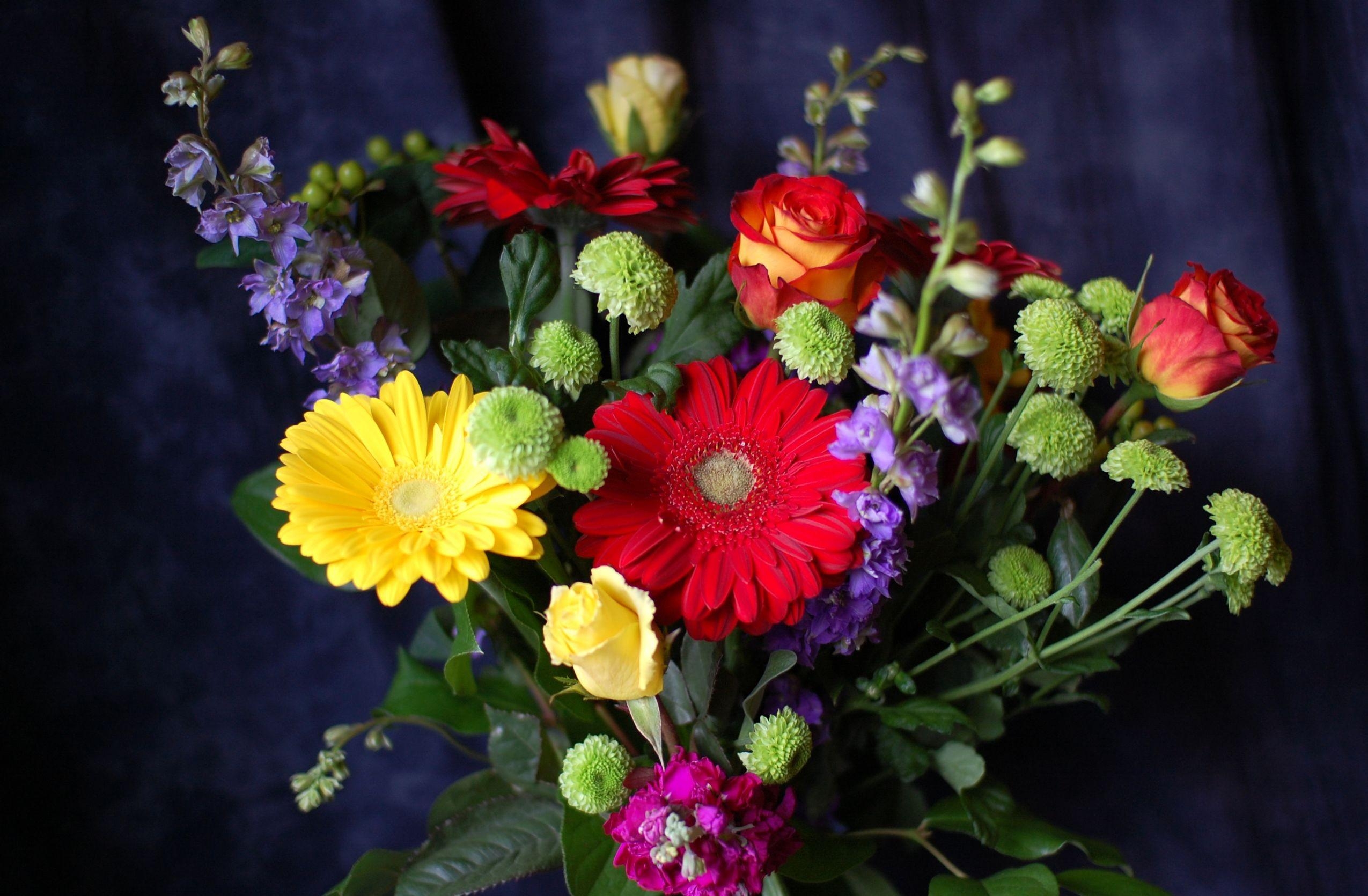 flowers, roses, chrysanthemum, gerberas, greens, bouquet, composition, levkoy, gillyflower