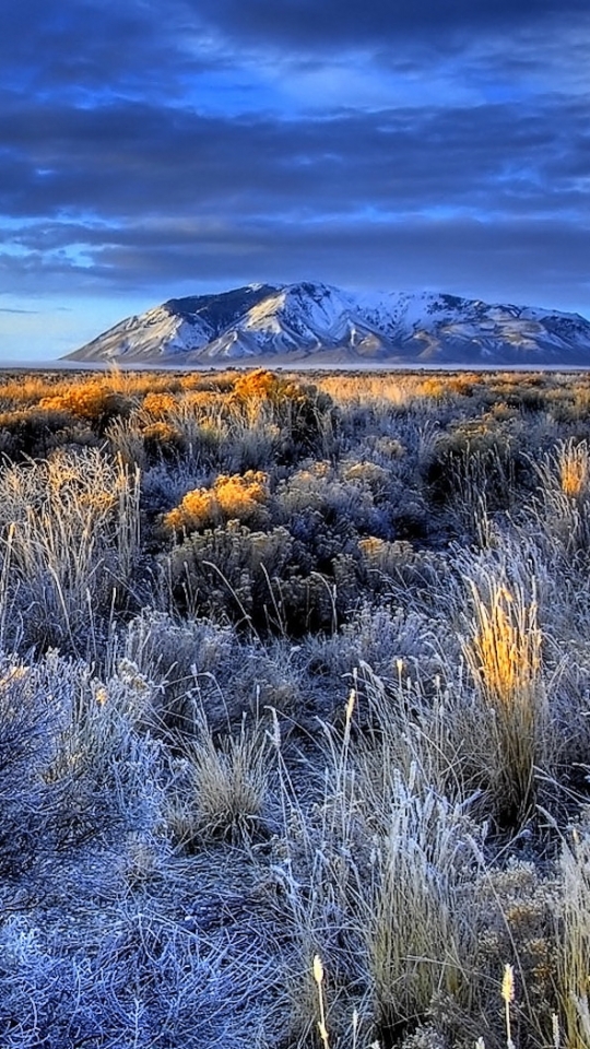 Descarga gratuita de fondo de pantalla para móvil de Paisaje, Tierra/naturaleza.