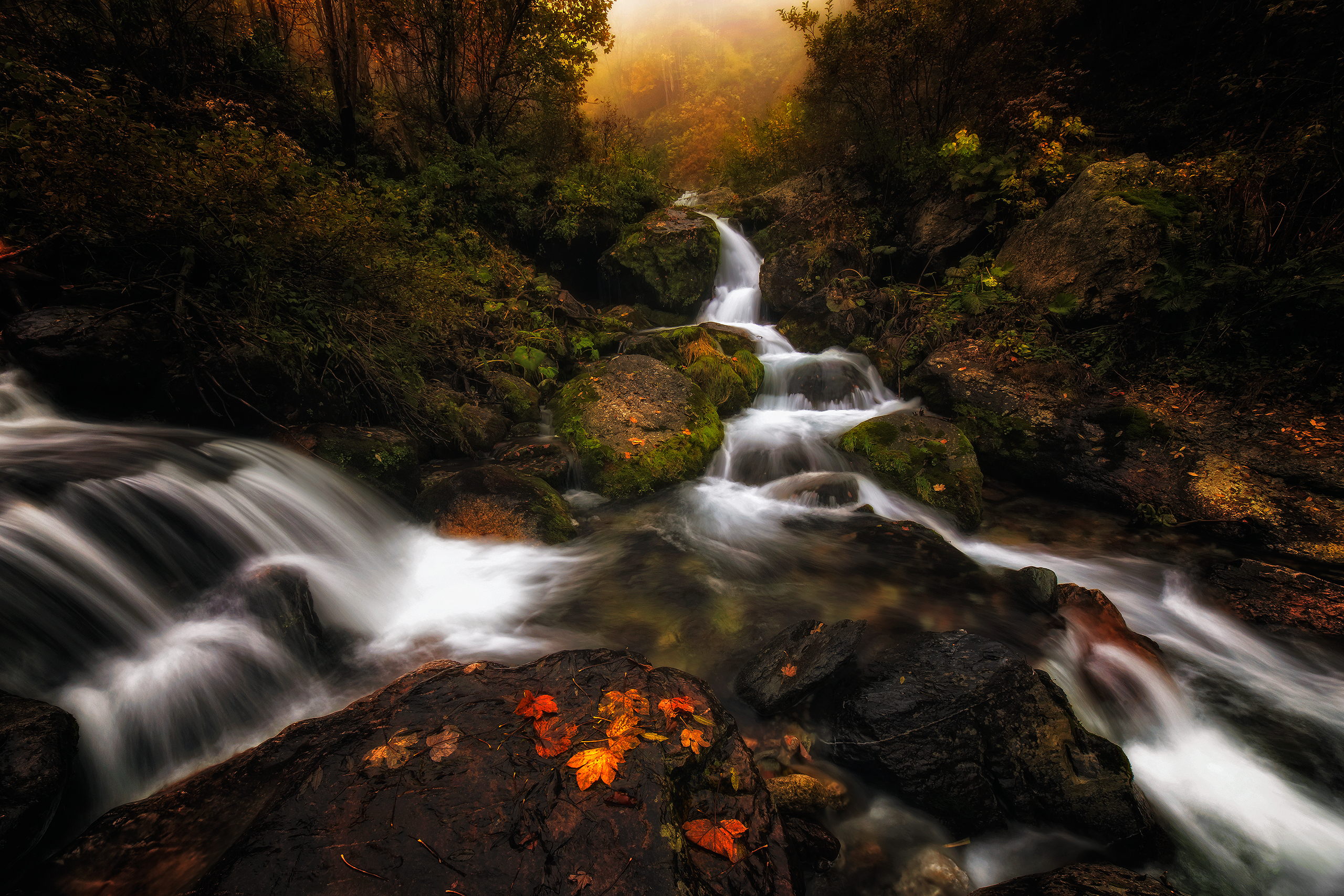 Handy-Wallpaper Natur, Herbst, Blatt, Schaum, Strom, Erde/natur kostenlos herunterladen.