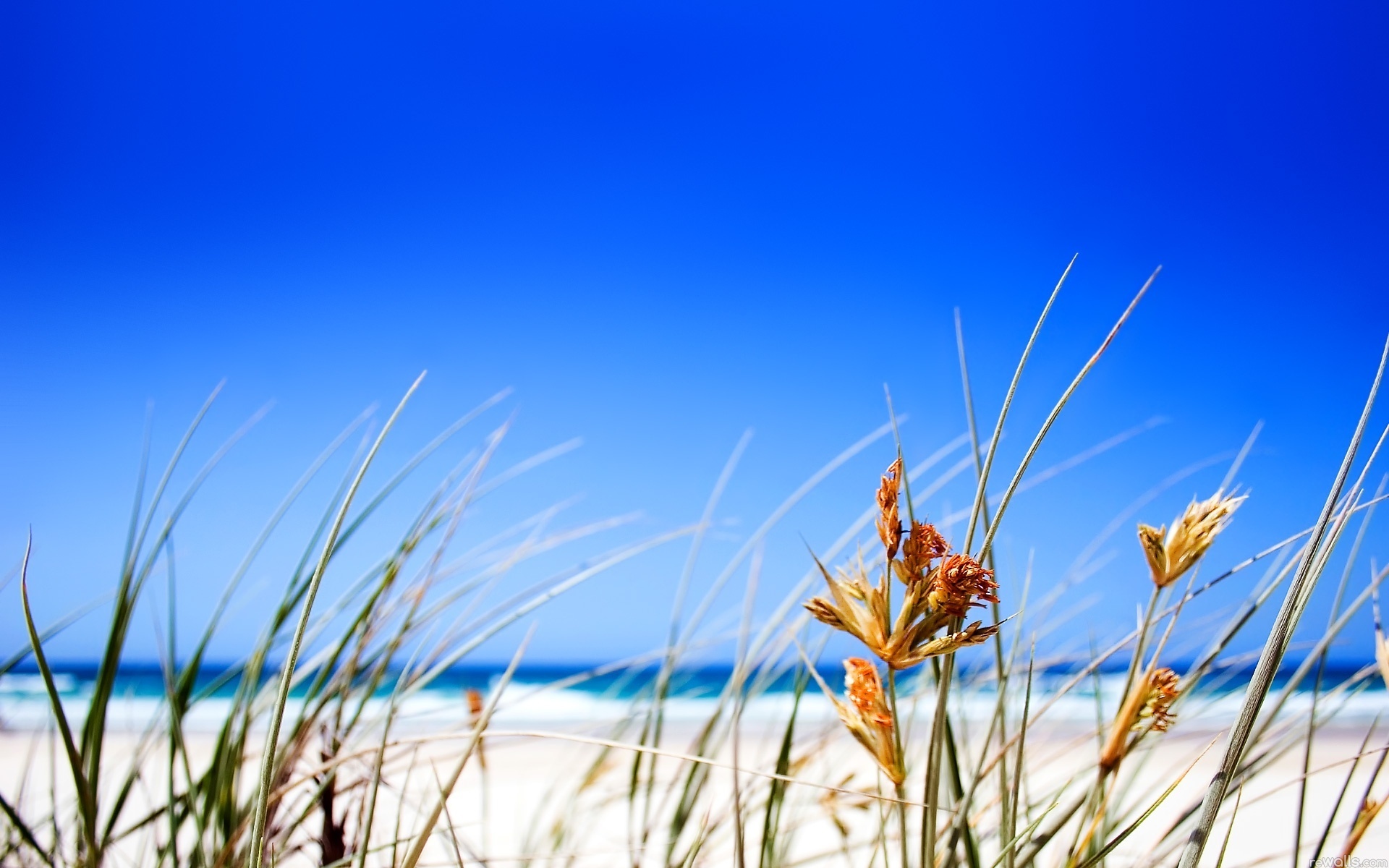 Laden Sie das Strand, Erde/natur-Bild kostenlos auf Ihren PC-Desktop herunter