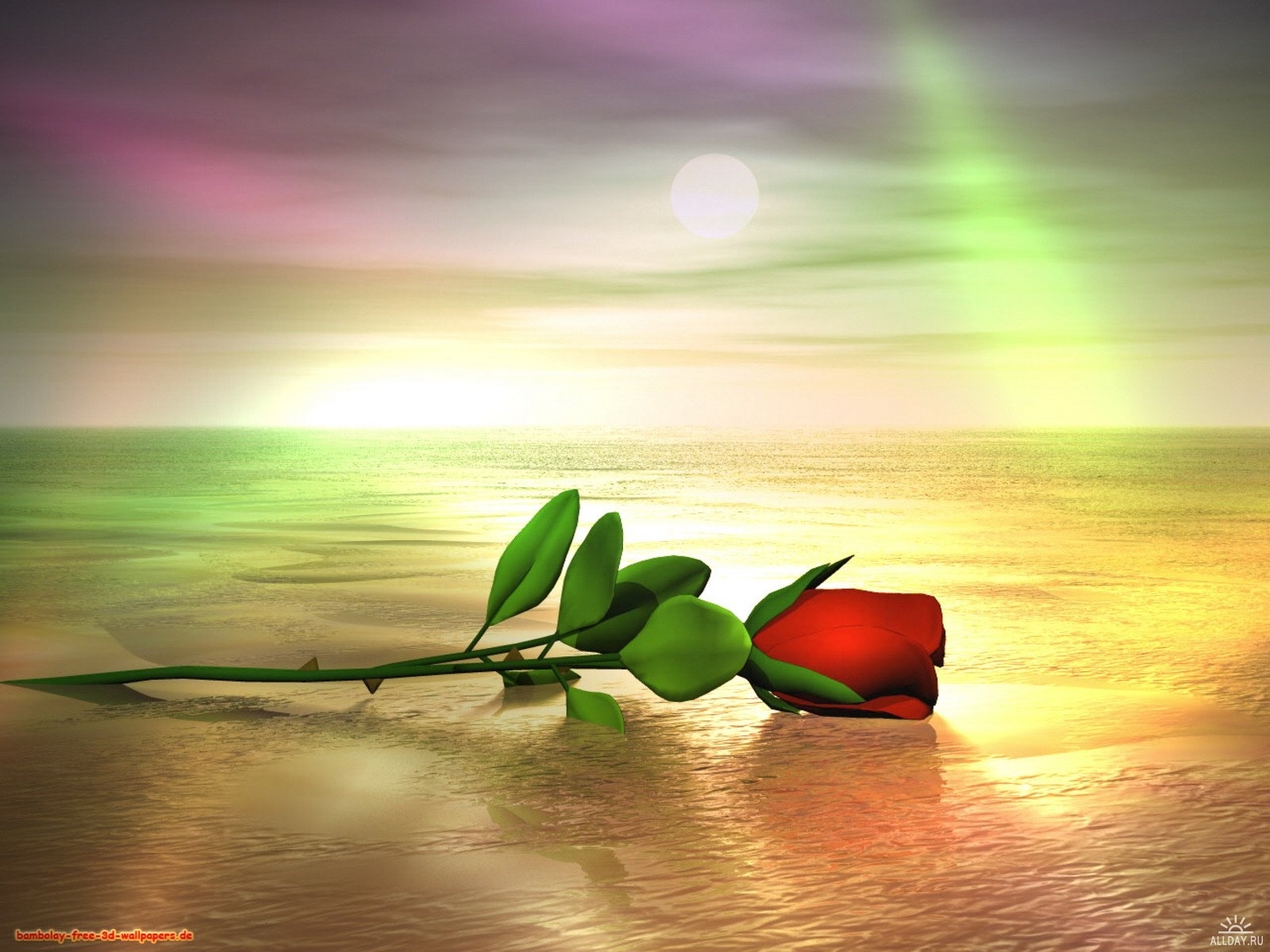 Скачать обои бесплатно Растения, Розы, Цветы, Арт, Море картинка на рабочий стол ПК