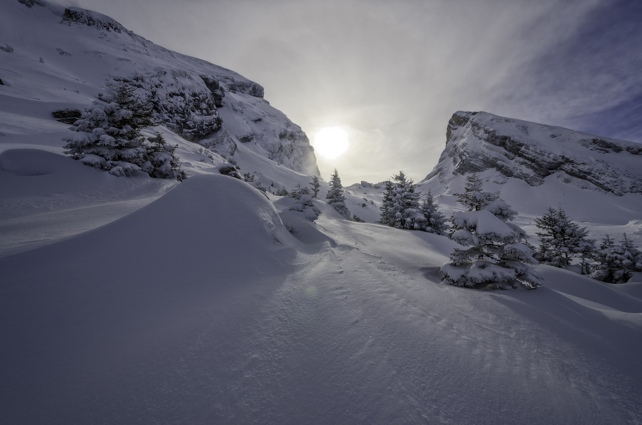 Baixe gratuitamente a imagem Inverno, Natureza, Sol, Neve, Terra/natureza na área de trabalho do seu PC