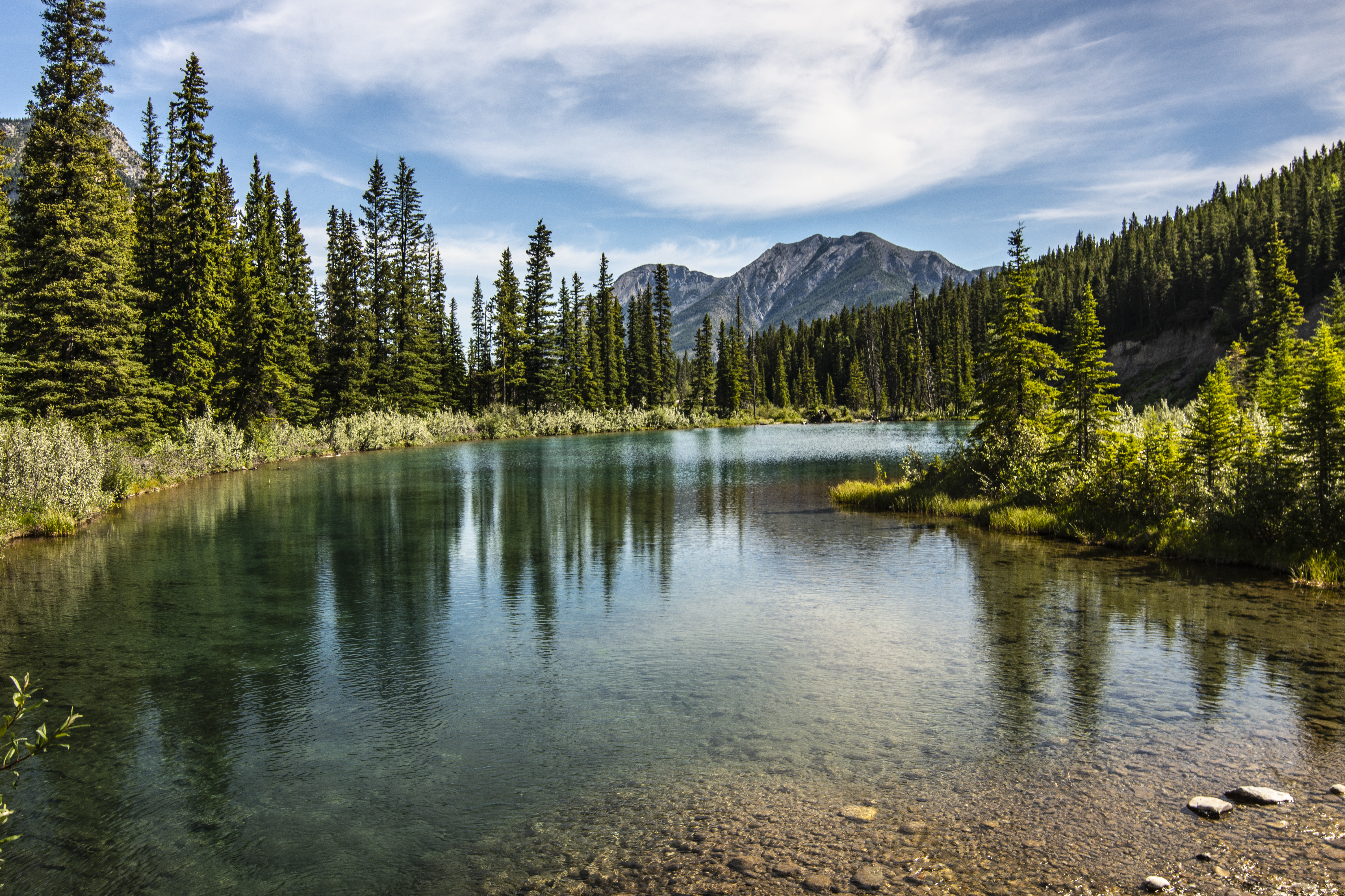 lake, forest, nature, mountains, trees, vertex, tops