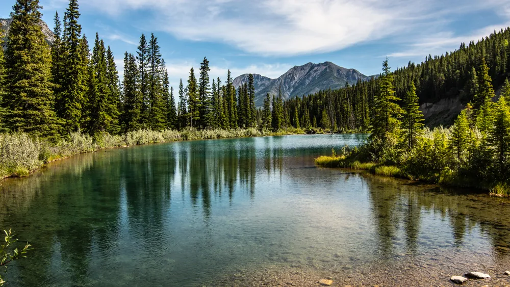 desktop-wallpaper-forest-lake-nature-mountains-trees-vertex-tops