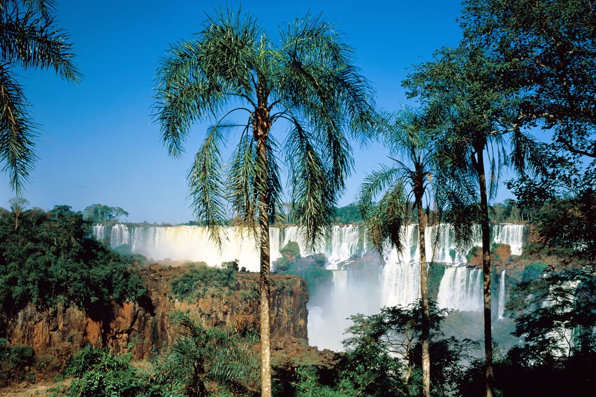 earth, iguazu falls, argentina, nature, vegetation, water, waterfall, waterfalls