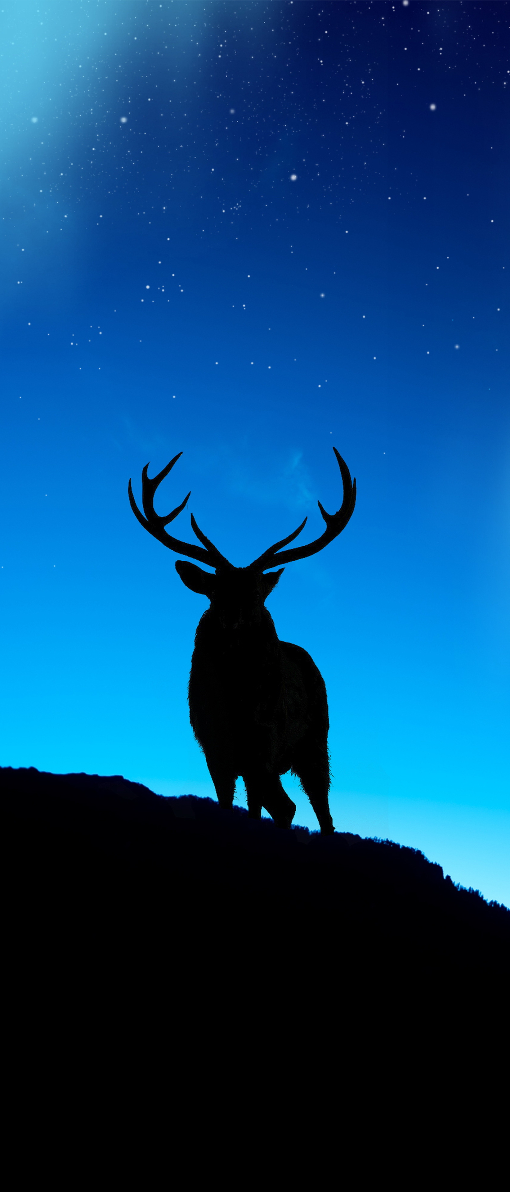 Download mobile wallpaper Animal, Deer for free.