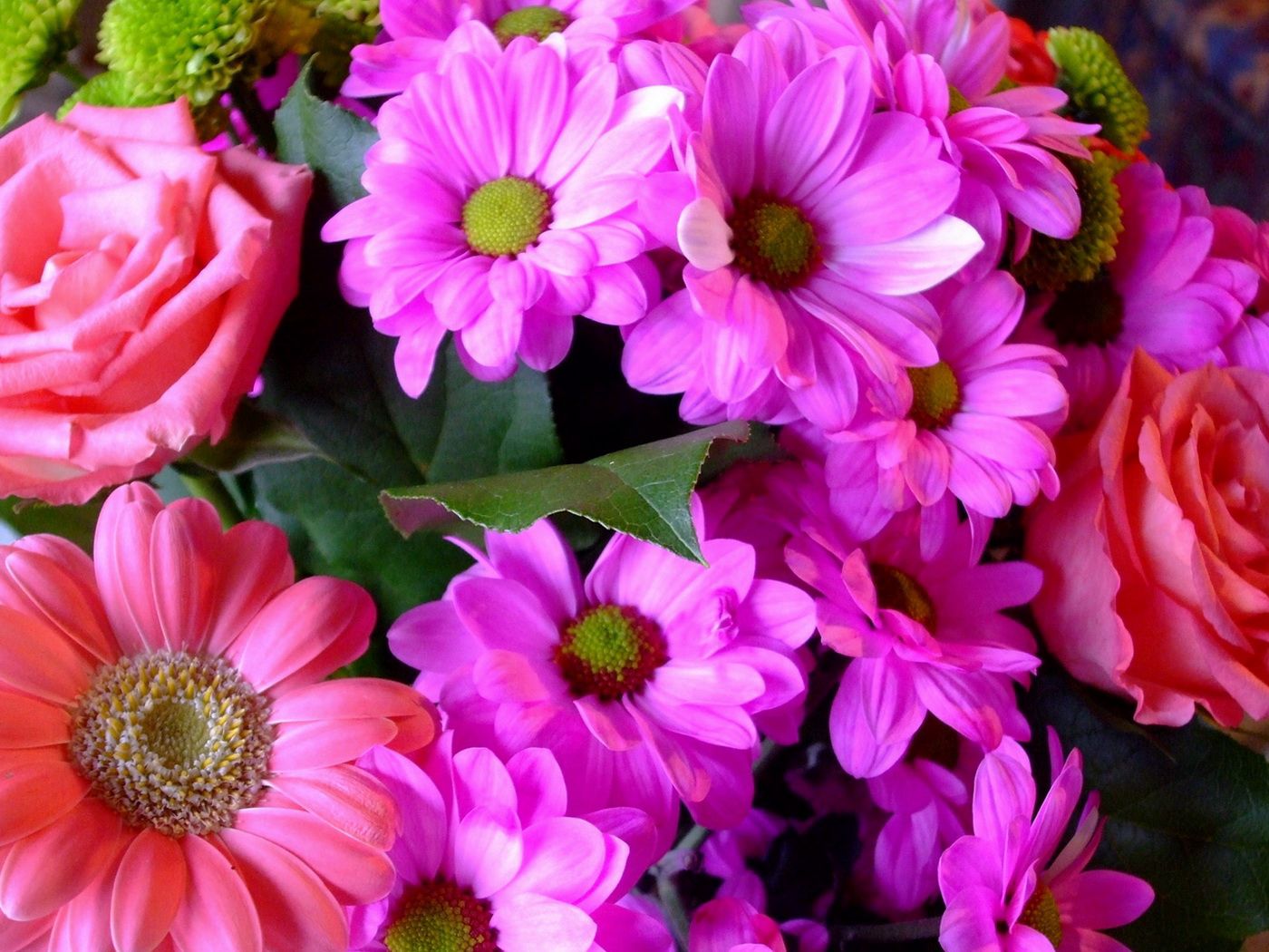 Download mobile wallpaper Bouquet, Close Up, Flowers, Gerberas, Roses for free.