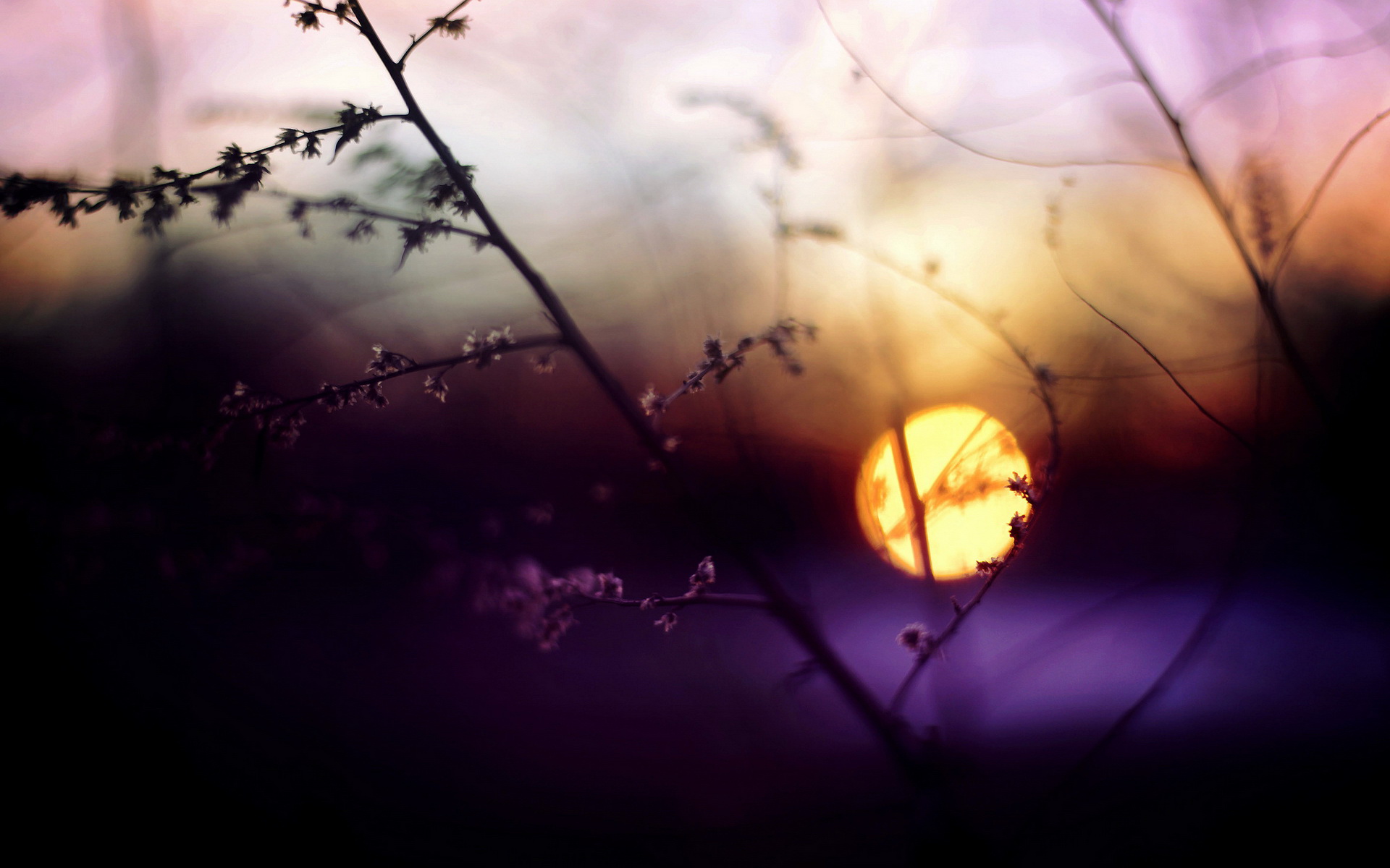 Téléchargez gratuitement l'image Terre/nature, Lever De Soleil sur le bureau de votre PC