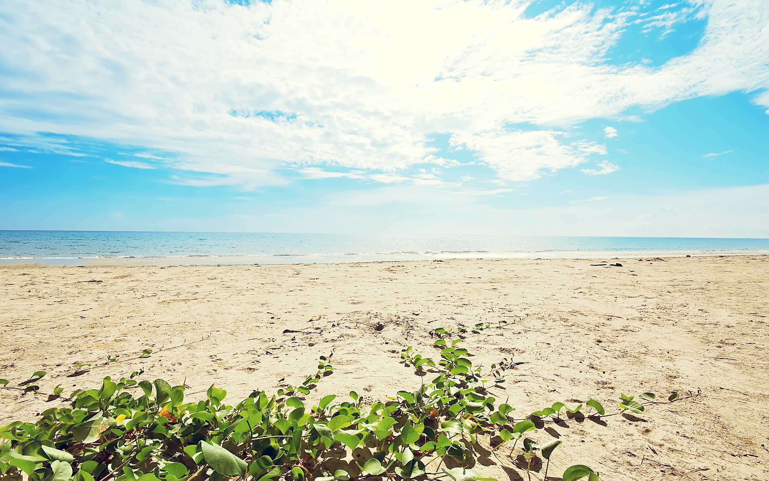 Téléchargez gratuitement l'image Plage, Terre/nature sur le bureau de votre PC