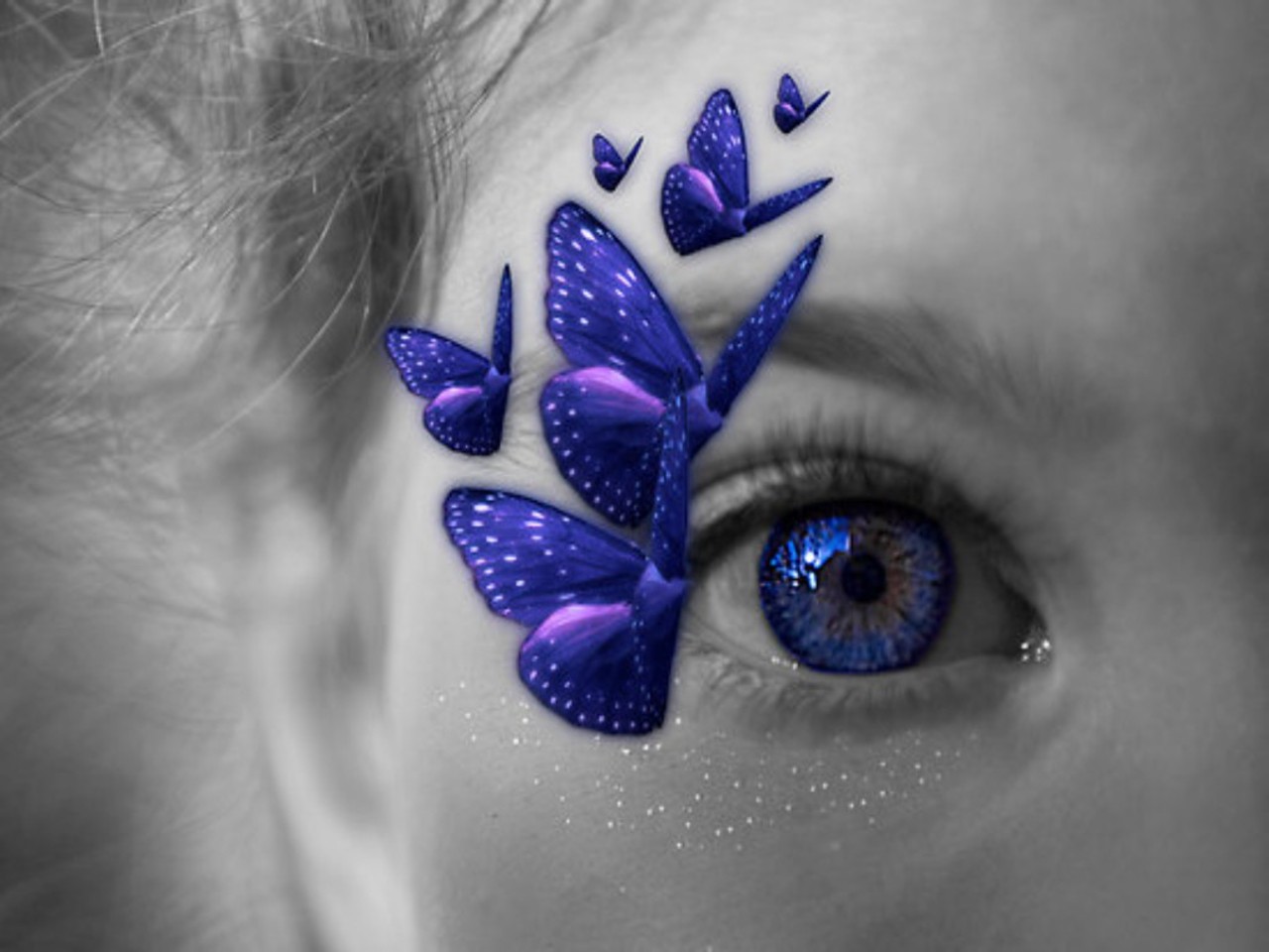 Laden Sie das Schmetterling, Auge, Künstlerisch-Bild kostenlos auf Ihren PC-Desktop herunter