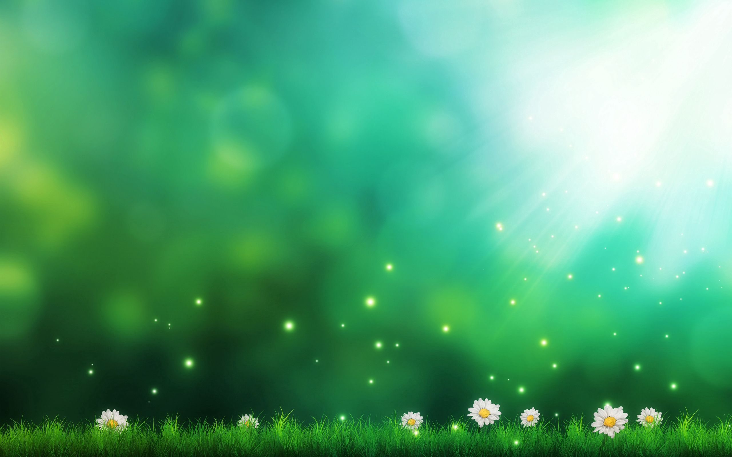 Download background grass, light, miscellanea, art, camomile, lights, shine, miscellaneous