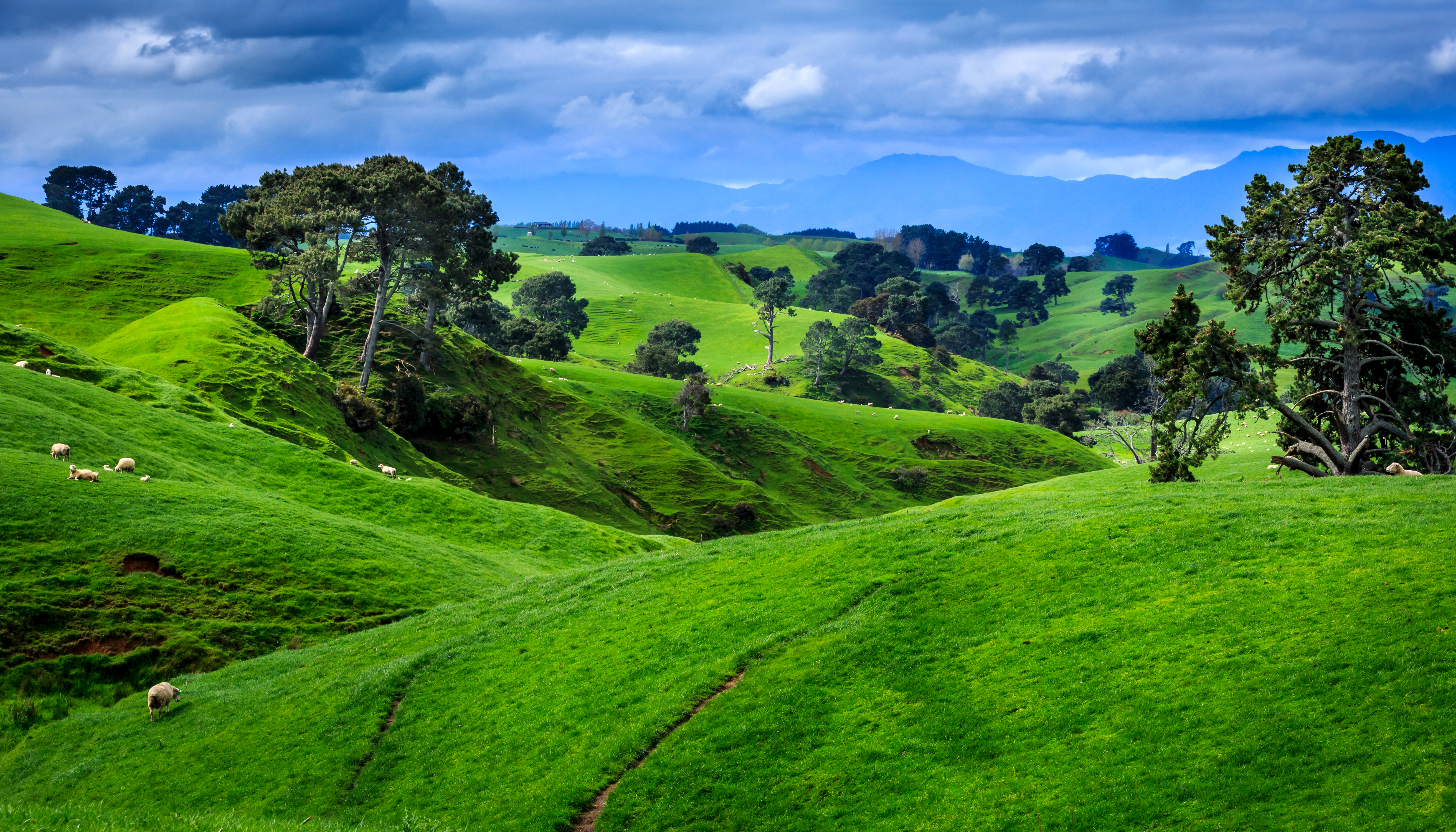 1524809壁紙のダウンロード地球, 風景, 草, 丘, 自然, ニュージーランド-スクリーンセーバーと写真を無料で