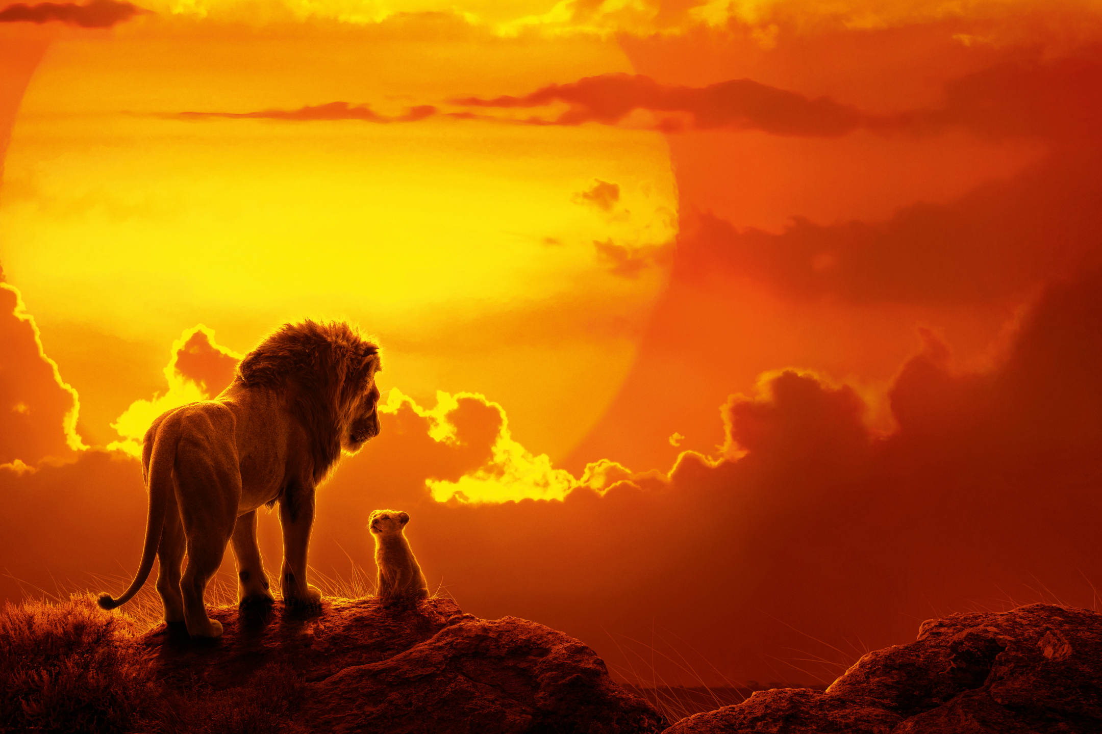 the lion king (2019), movie, baby animal, lion, simba, mufasa (the lion king)