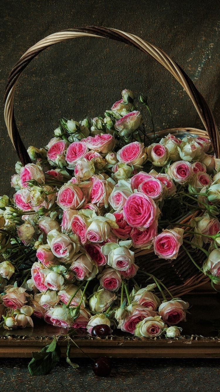 Descarga gratuita de fondo de pantalla para móvil de Rosa, Flor, Cesta, Fotografía, Bodegón.