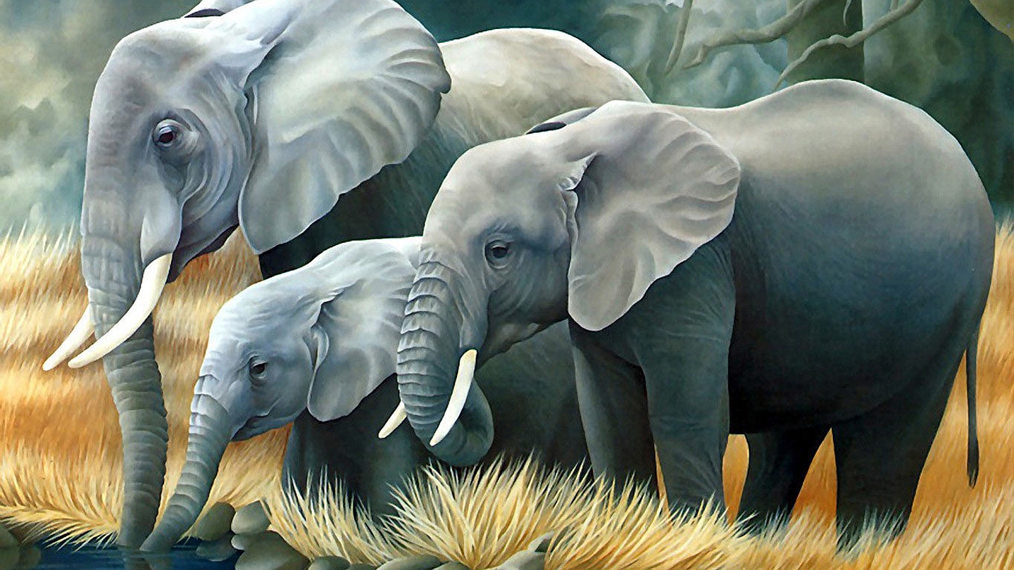 Descarga gratis la imagen Elefante Africano De Sabana, Elefantes, Animales en el escritorio de tu PC