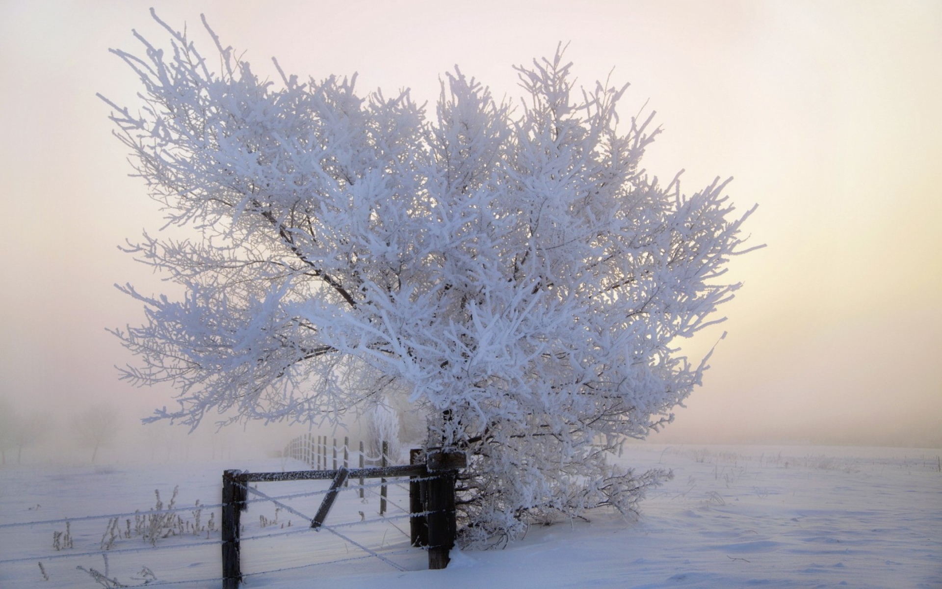 Free download wallpaper Winter, Earth on your PC desktop