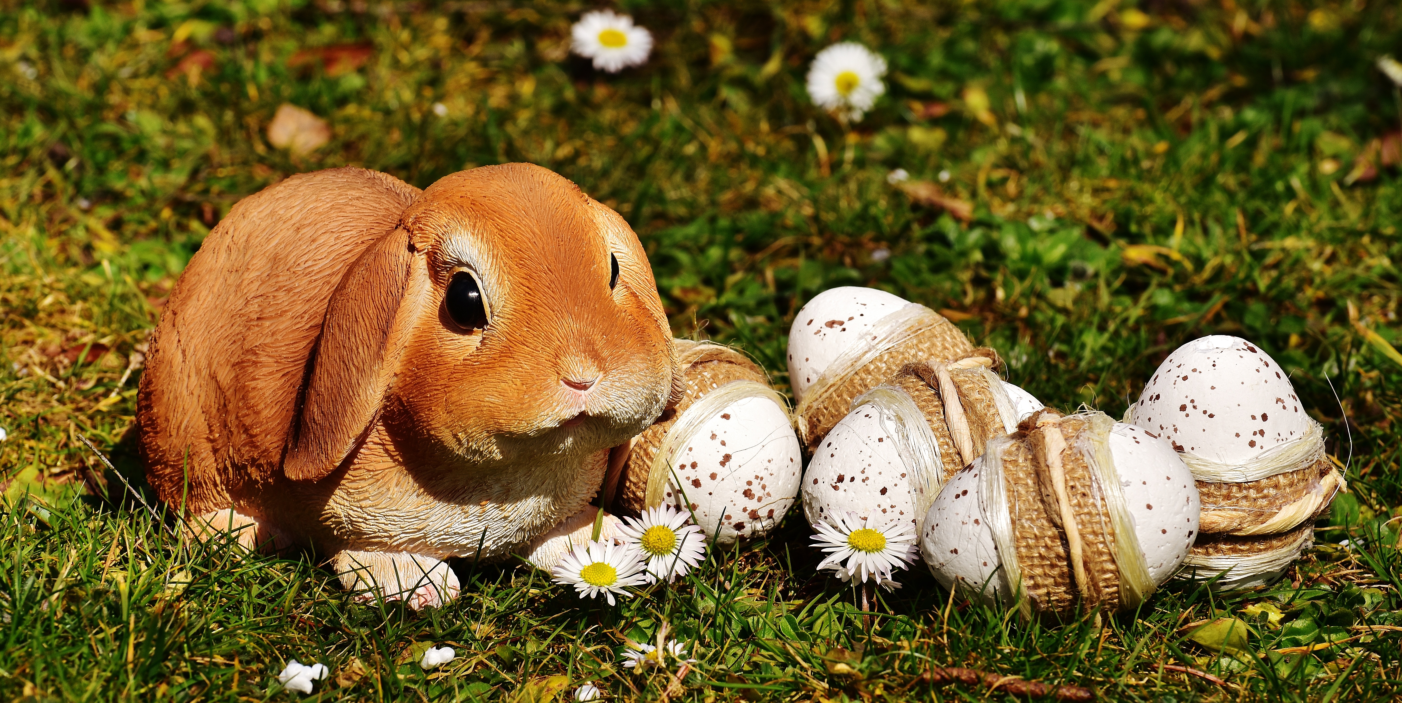 無料モバイル壁紙祝日, 卵, イースター, 兎, ウサギをダウンロードします。