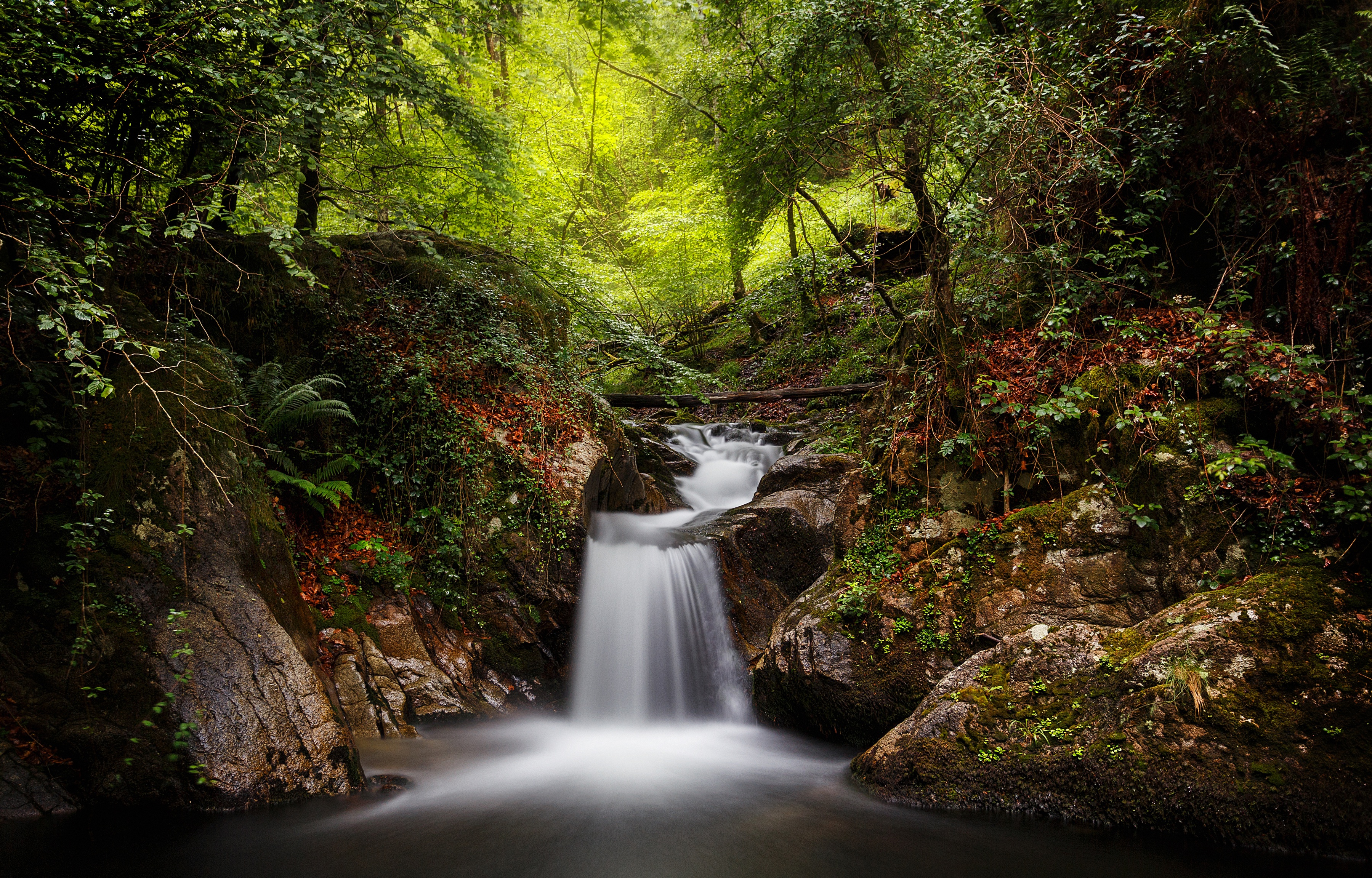 Free download wallpaper Nature, Forest, Earth, Foam, Stream, Greenery on your PC desktop