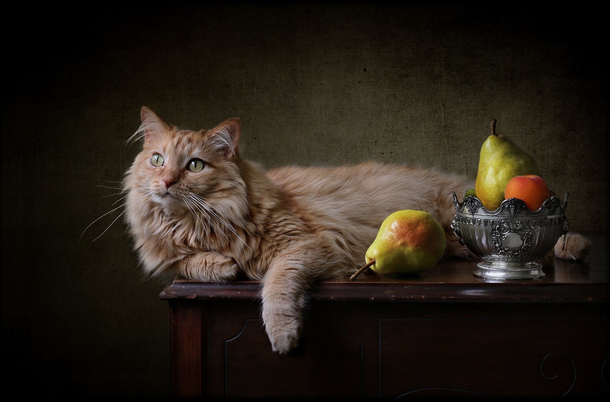 Descarga gratis la imagen Animales, Gatos, Gato, Fruta, Pera en el escritorio de tu PC