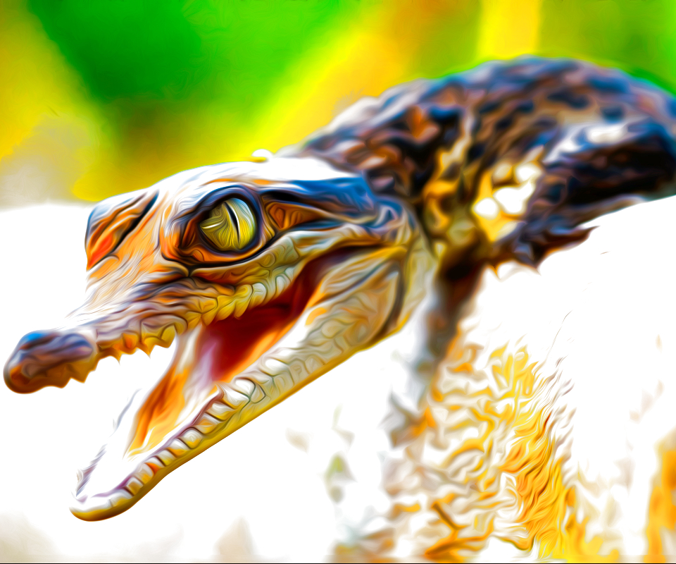 Descarga gratuita de fondo de pantalla para móvil de Animales, Reptiles, Cocodrilo.