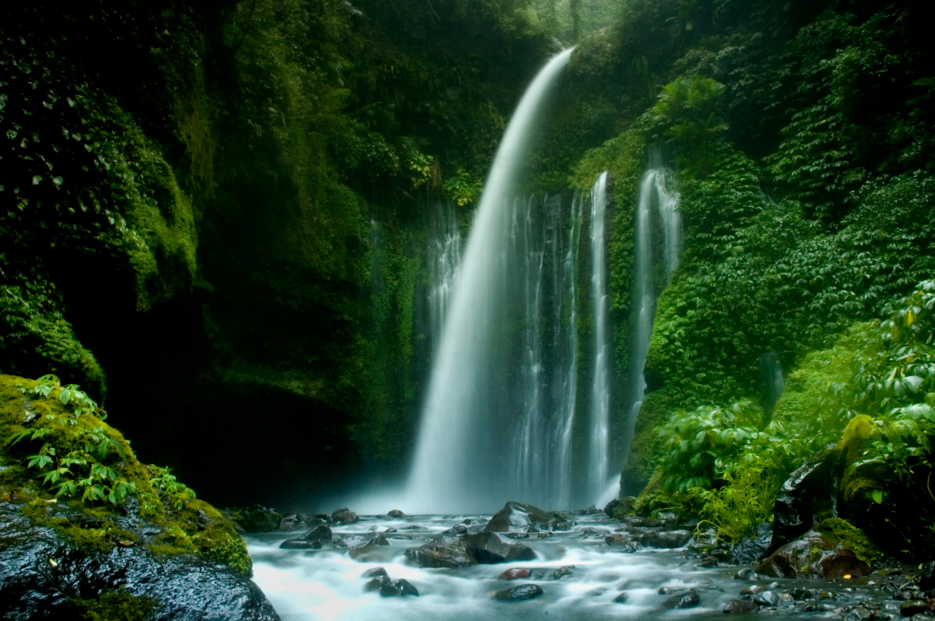 Скачать картинку Водопады, Водопад, Лес, Зеленый, Листва, Земля/природа в телефон бесплатно.