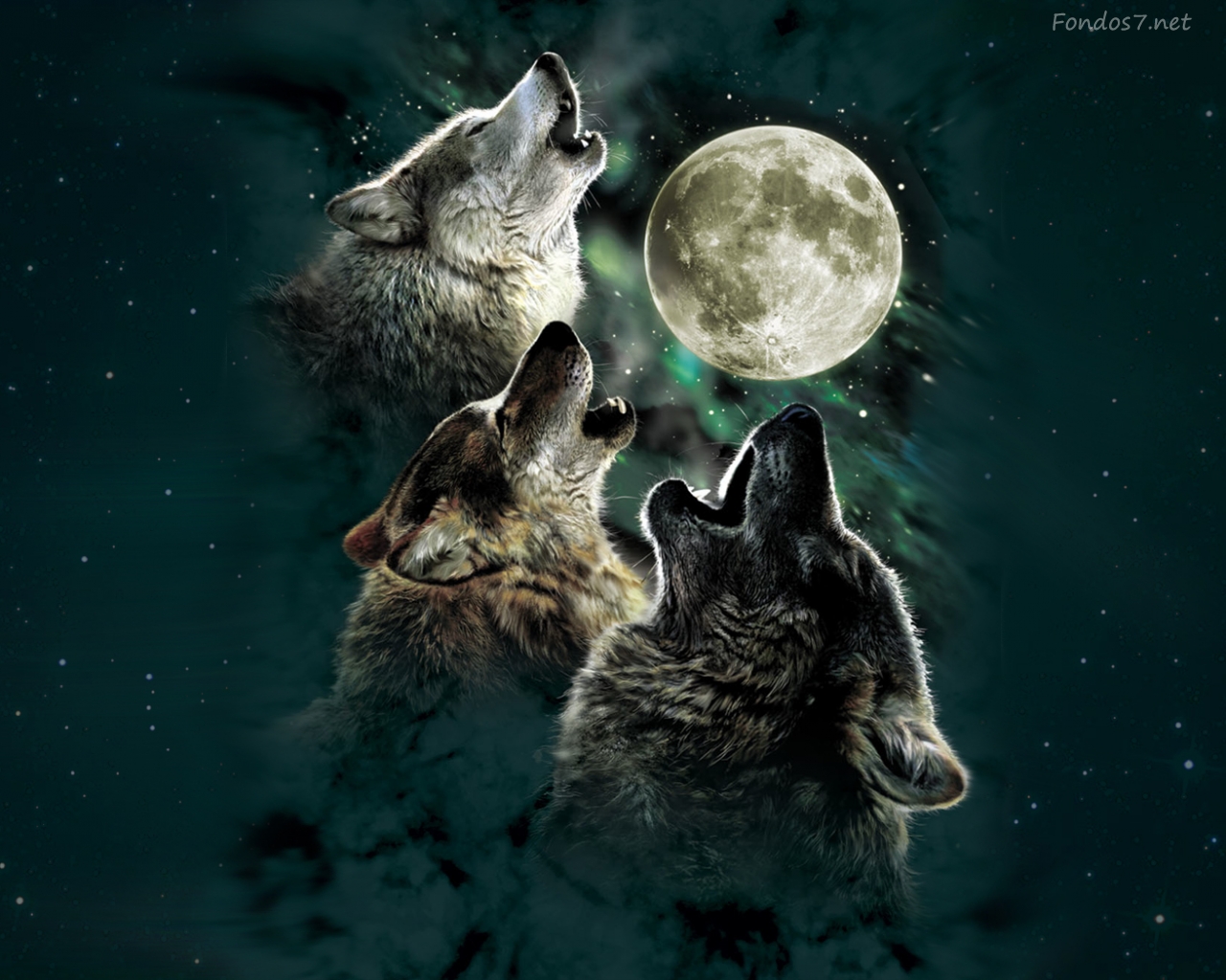 Скачать обои бесплатно Животные, Волк картинка на рабочий стол ПК