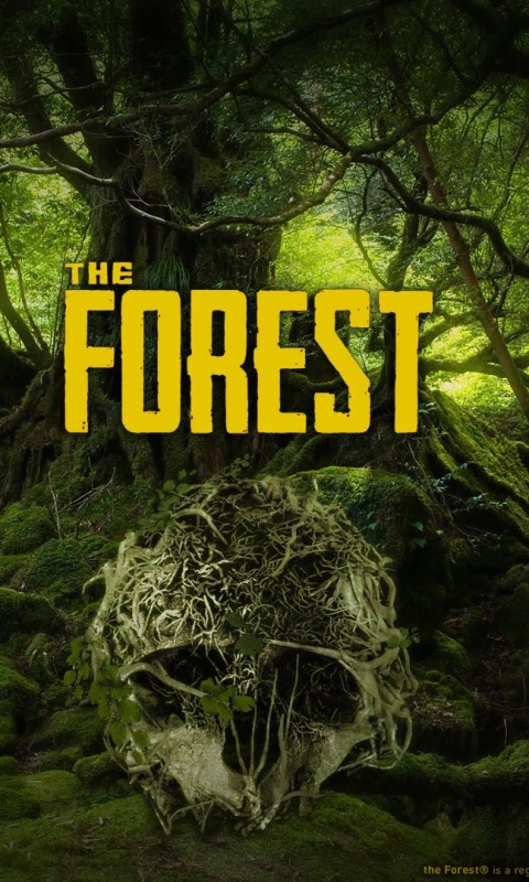 Download mobile wallpaper Video Game, The Forest for free.