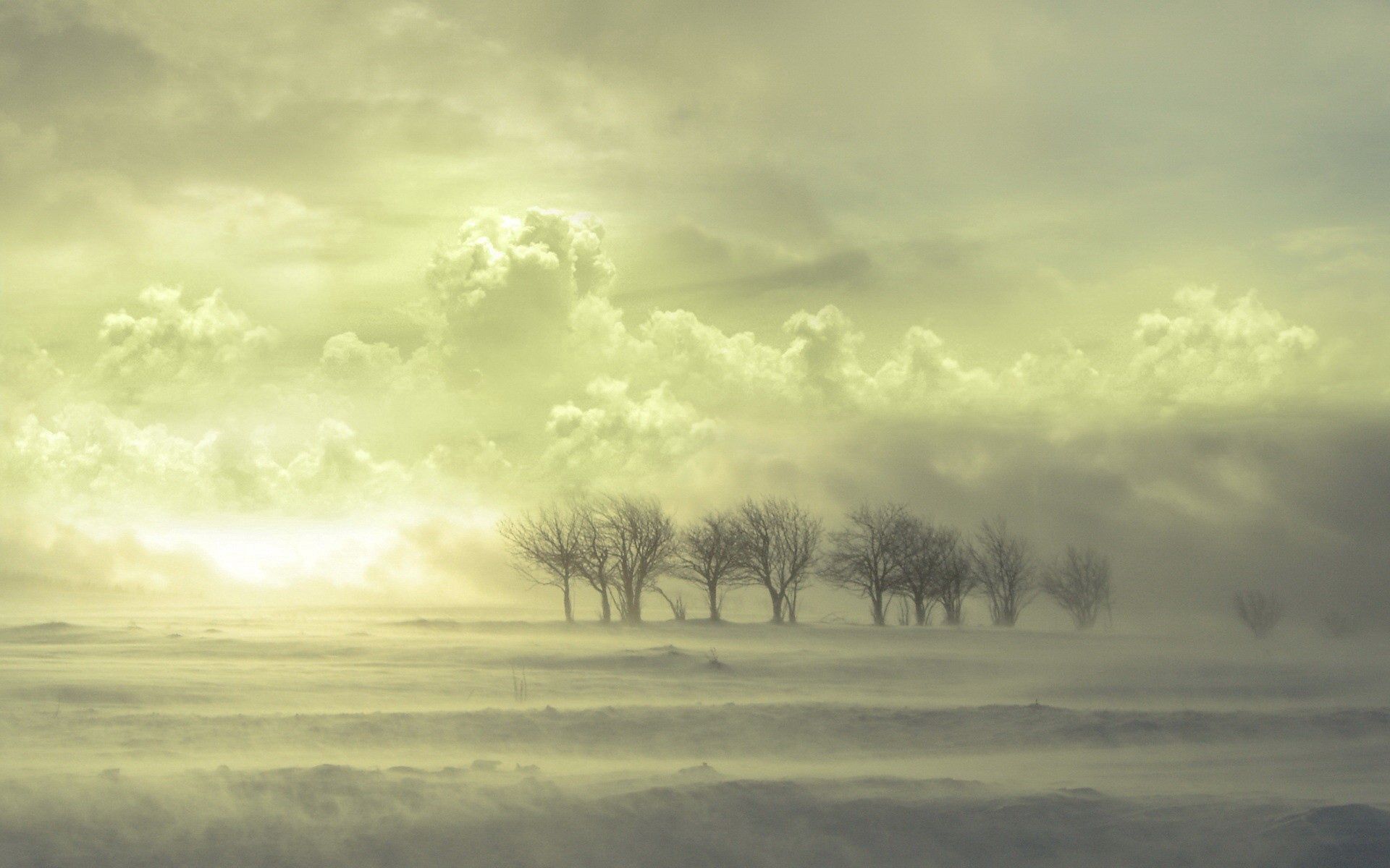 Скачать картинку Облака, Деревья, Туман, Природа в телефон бесплатно.